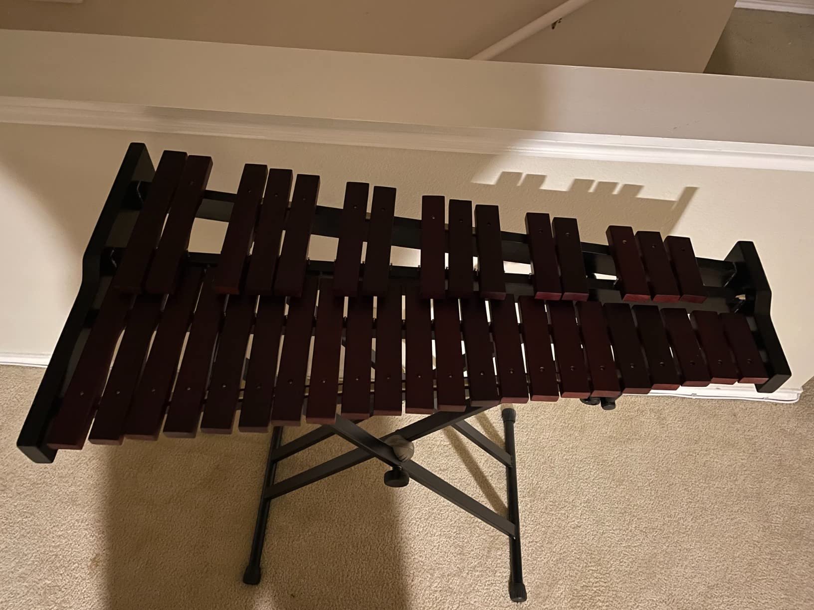 Gearlux 37-Key Wooden Xylophone with Mallets, Adjustable Stand, and Gig Bag customer photo 1