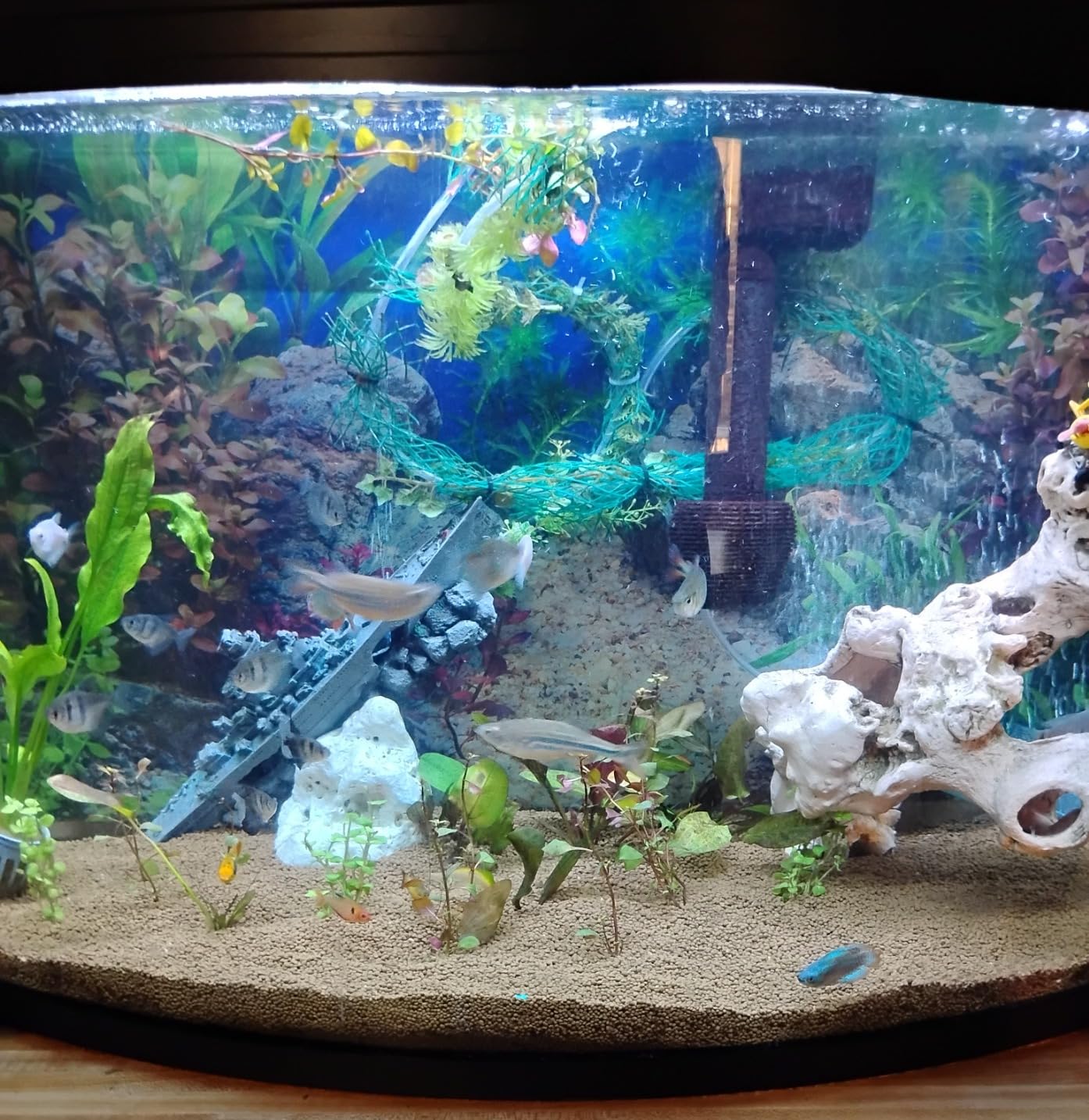 AWERT 48x24 in Aquatic Plant Fish Tank Background Stone Aquarium Backdrop (River Bed & Lake Vinyl) customer photo 1