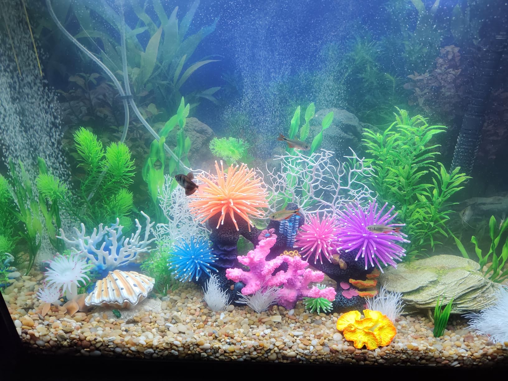 AWERT 48x24 in Aquatic Plant Fish Tank Background Stone Aquarium Backdrop (River Bed & Lake Vinyl) customer photo 2