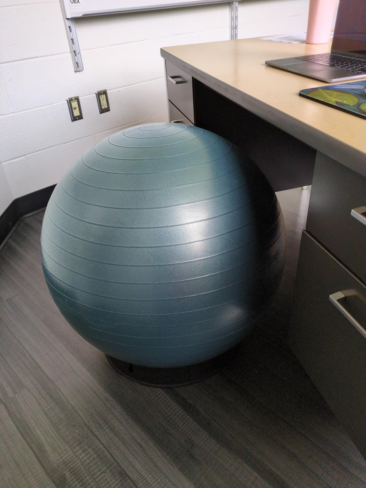 Retrospec Luna Exercise Ball with Pump - Anti-Burst Fitness Equipment for Yoga, Core Training & Stability - Home Gym Swiss Ball for Office & Pregnancy customer photo 1