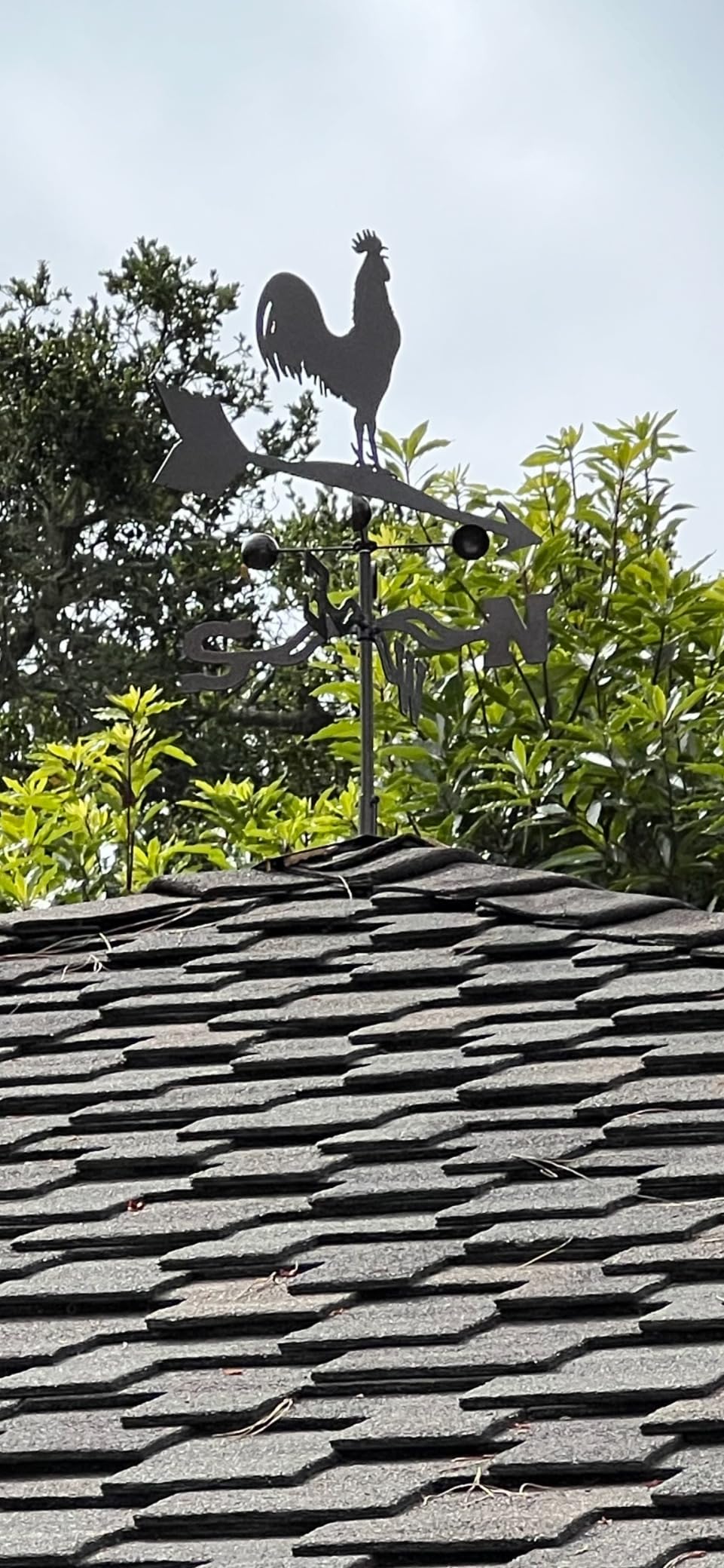 EZ Vane Steel Rooster Weathervane 21