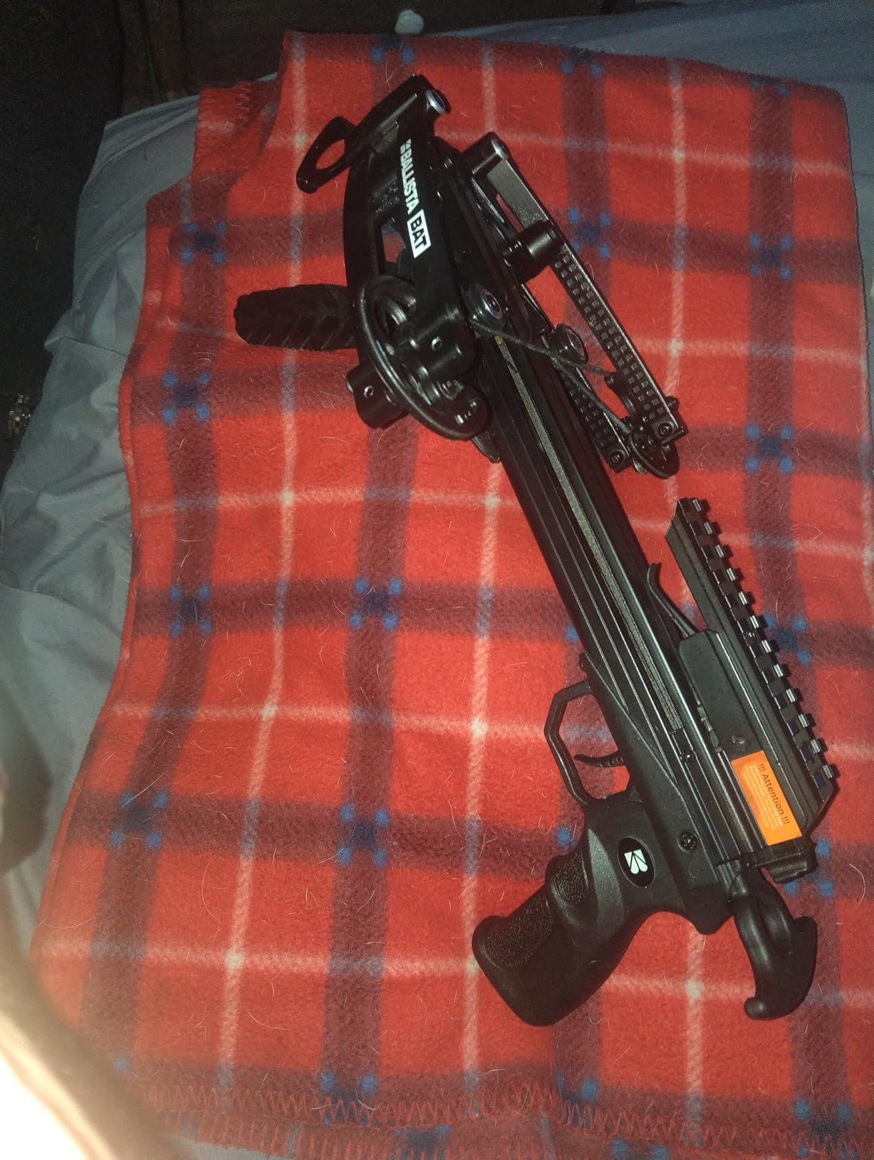 BALLISTA BAT Compound Crossbow for Hunting, Bowfishing and Target, 300 FPS customer photo 2