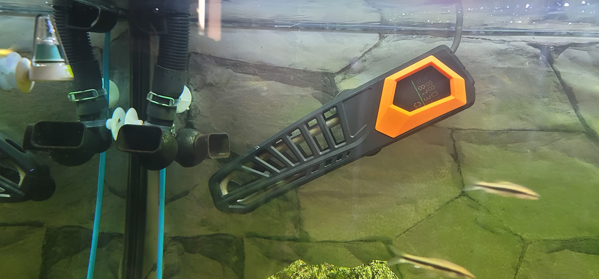 HITOP 600W Titanium Aquarium Heater - Digital Fish Heater with LED Temp Display and External Controller, for Large Fish Tank 75-180 Gallon customer photo 1