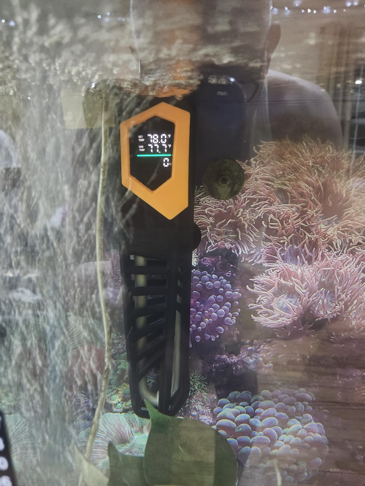 HITOP 600W Titanium Aquarium Heater - Digital Fish Heater with LED Temp Display and External Controller, for Large Fish Tank 75-180 Gallon customer photo 2