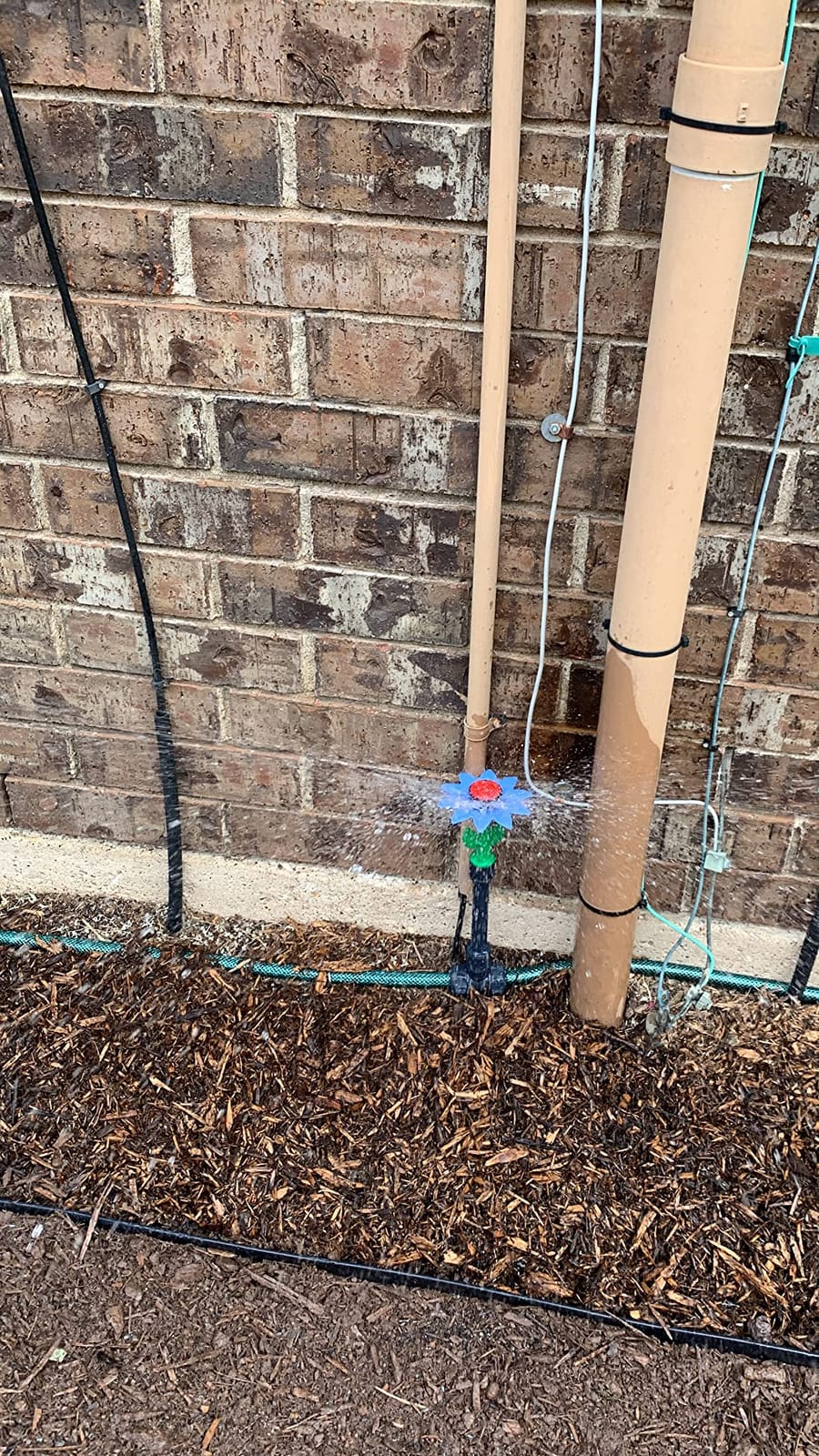 Eden 97065 Daisy Above-Ground 50 Ft Garden Hose and Sprinkler System, DIY Plant Watering Set customer photo 1