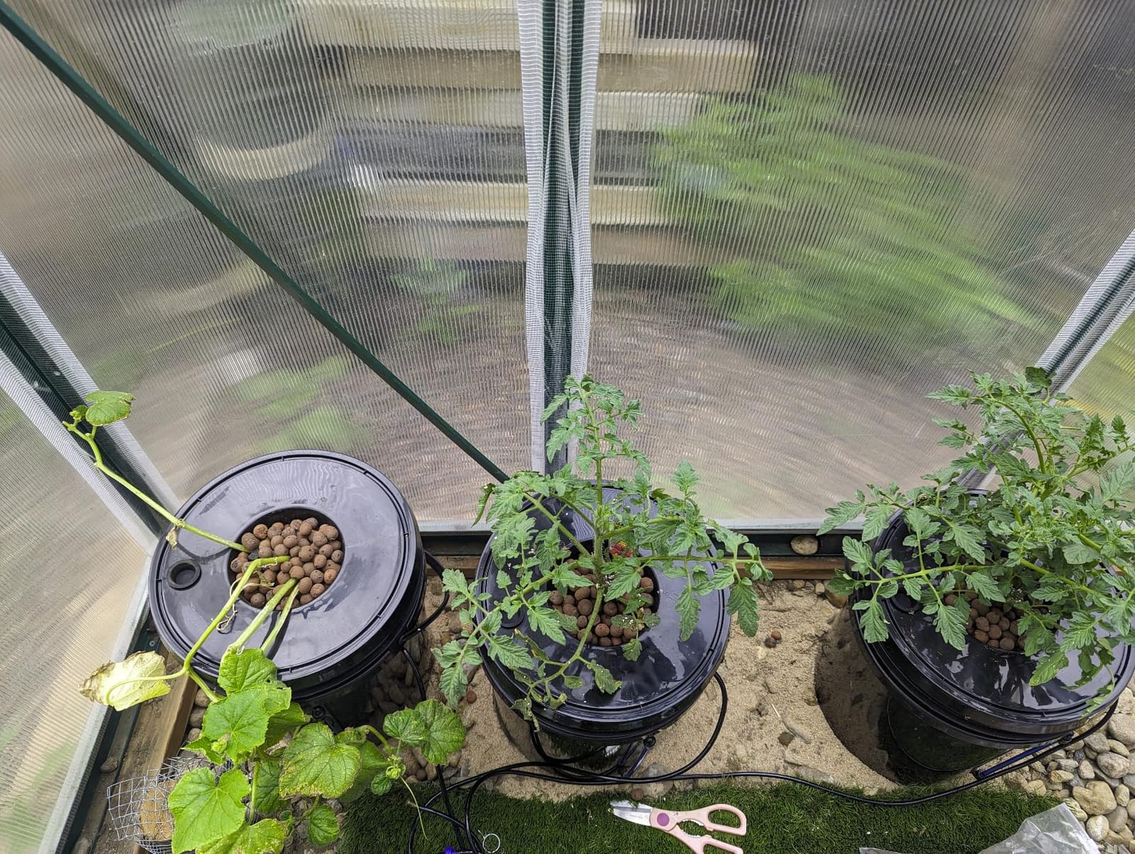 VEVOR DWC Hydroponic System, 5 Gallon 4 Buckets, Deep Water Culture Growing Bucket, Hydroponics Grow Kit with Pump, Air Stone and Water Level Device customer photo 2