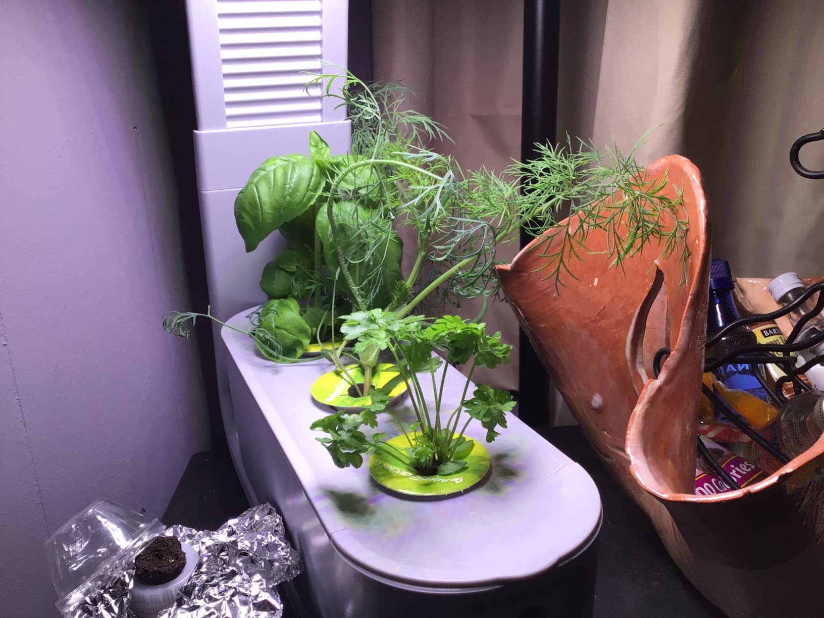 AeroGarden Sprout, Cool Gray customer photo 1