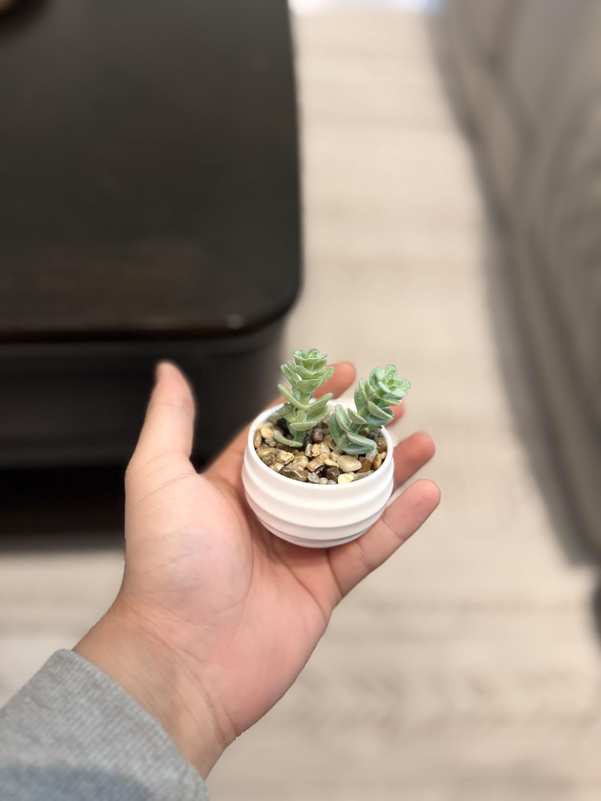 Der Rose 6 Pack Succulents Fake Plants for Bedroom Bathroom Home Decor | Palm-sized small fake plants, ideal for bedroom bathroom aesthetic living room decor, office desk accessories, gifts for women customer photo 2