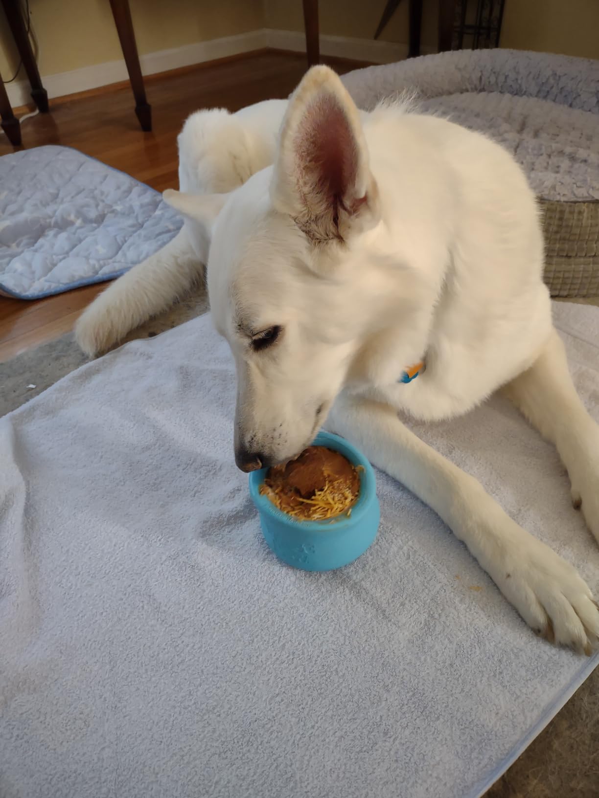 West Paw Zogoflex Toppl Interactive Treat Dispensing Puzzle Dog Toy for Mental Stimulation & Enrichment - Holds Kibble & Treats - Lickable, Freezable & Dishwasher Safe - Made in USA - XL - Tangerine customer photo 1