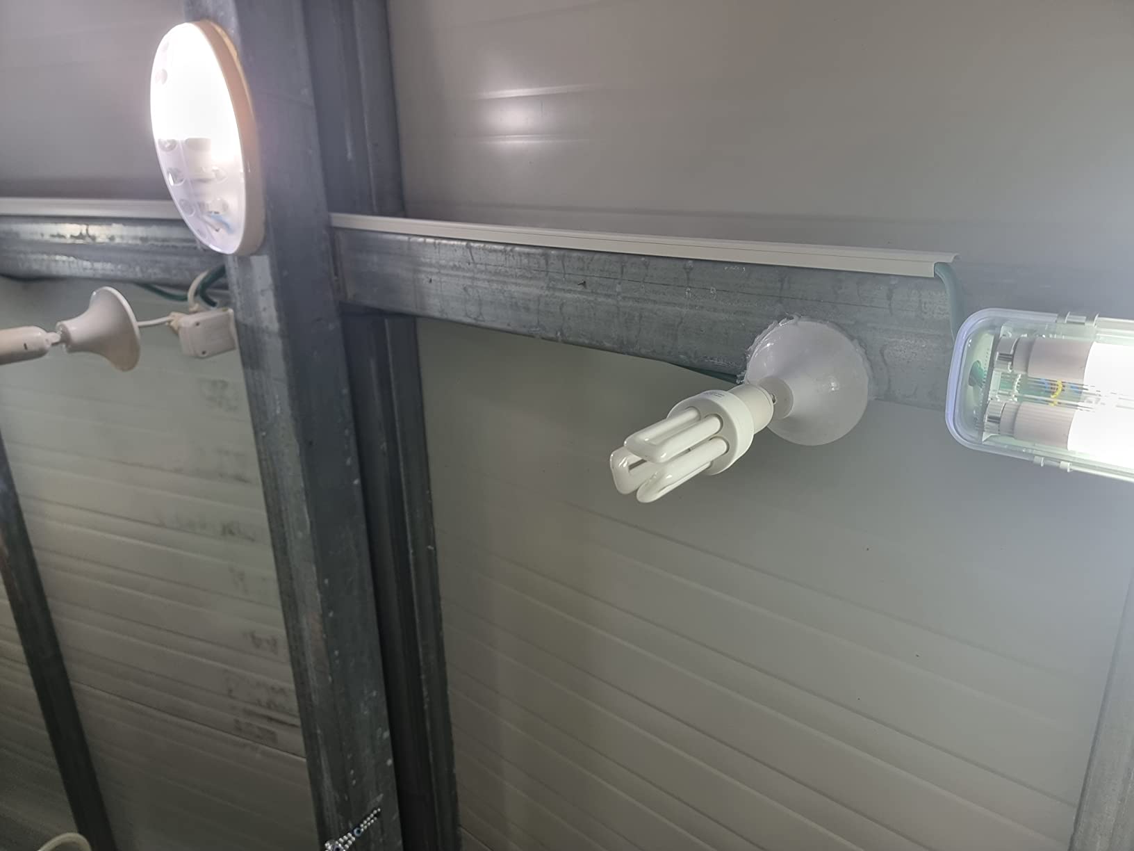 LUCKY HERP UVA UVB Light Bulb for Birds 2.4 UVB 20W Compact Fluorescent Lamp for All Kinds Captive Birds customer photo 2