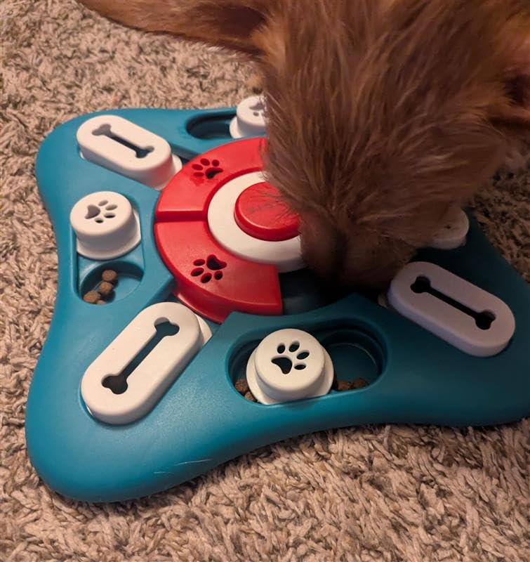 PETSTA Dog Puzzle Toys, Treat Dispensing Dog Enrichment Toys for IQ Training and Brain Stimulation, Interactive Mentally Stimulating Toys as Gifts for Puppies, Cats, Dogs customer photo 1