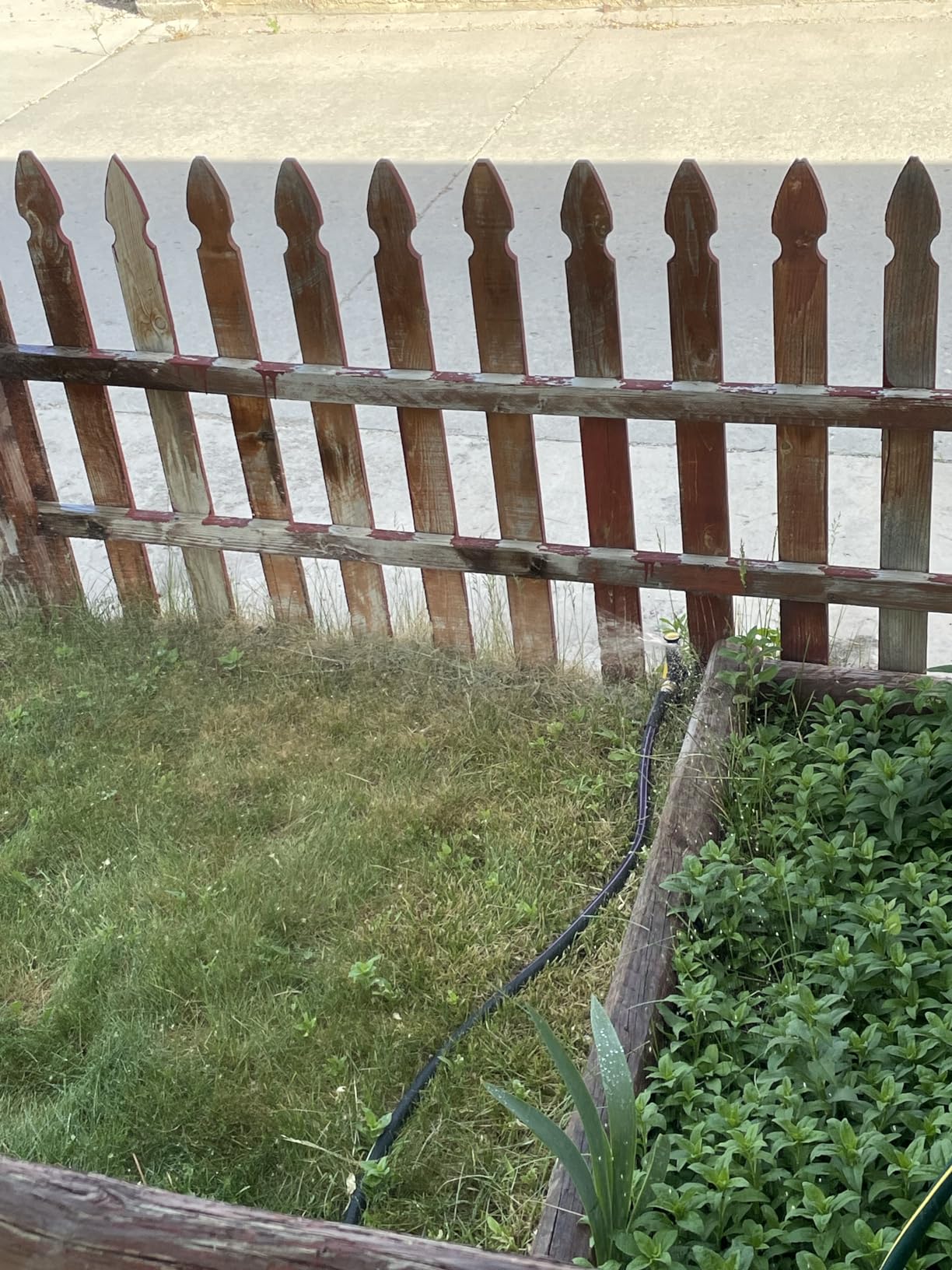 Melnor Multi-Adjustable Watering Set, 1800 Sq Ft: 3 Sprinklers, 2 Hoses | 65191AMZ customer photo 2