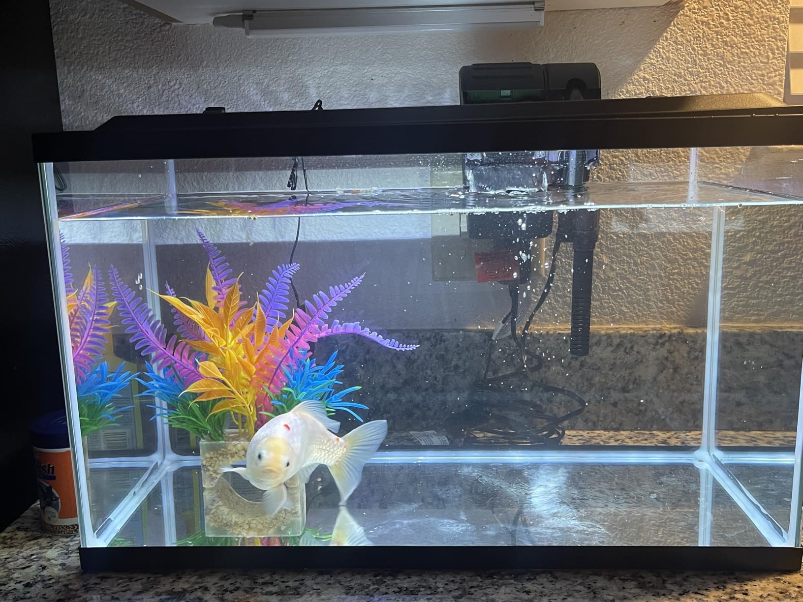 Tetra LED 10 Gallon Complete Fish Tank Kit for Freshwater & Saltwater Fish, Includes LED Light, Glass Tank With Hinged Hood, Filter & Cartridge, Samples, Fish Net customer photo 2