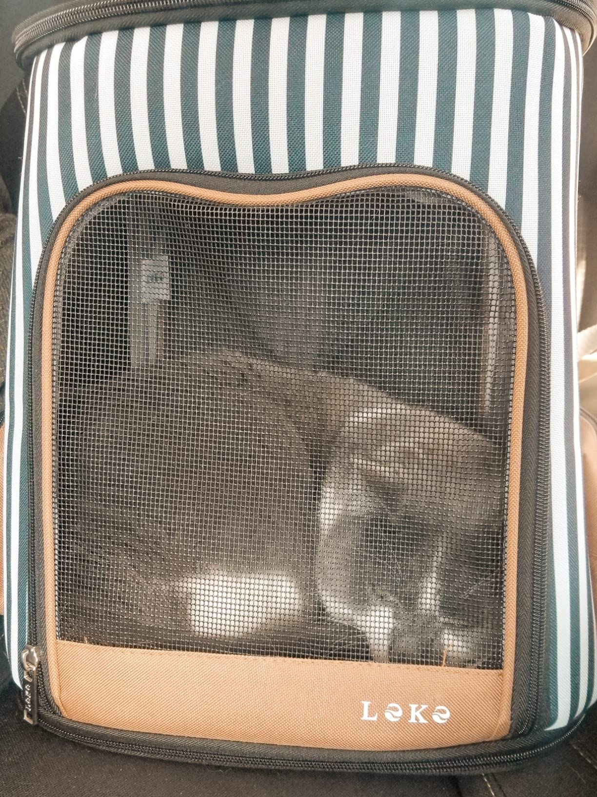 Lekereise Pet Carrier Backpack Expandable Cat Backpack Carrier for Small Dogs Large Cats Puppies, Dog Backpack Carrier for Hiking Travel Outdoor Hold Pets Up to 20 25 Lbs, Grey customer photo 1