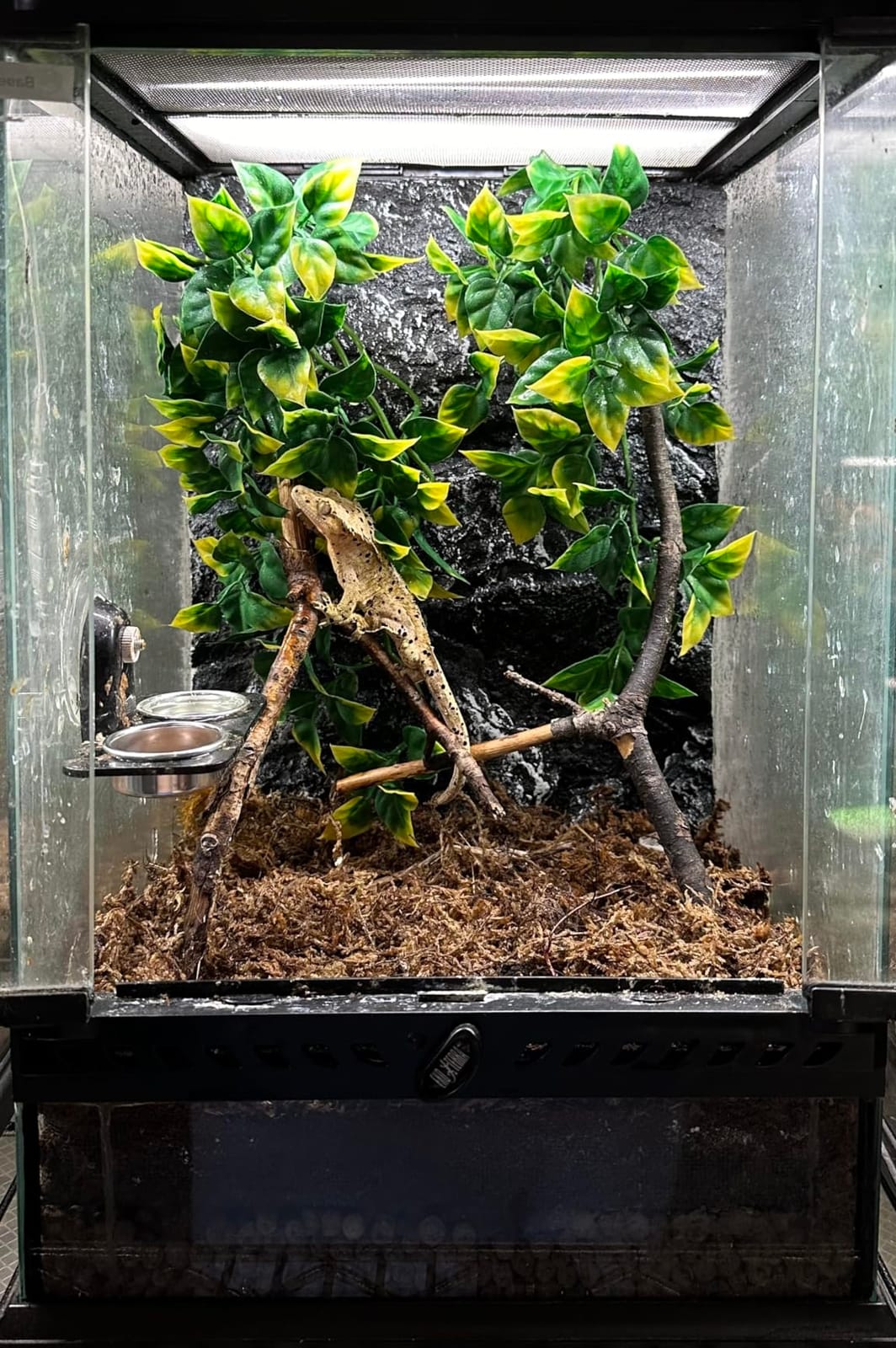 Tfwadmx Rock Terrarium Background 3D Reptile Tank Background Board Amphibian Stereo Backdrop Wall Snake Habitat Decor for Lizard Bearded Dragon Gecko Spider Chameleon Turtle Fish (Small Dragon Stone) customer photo 1