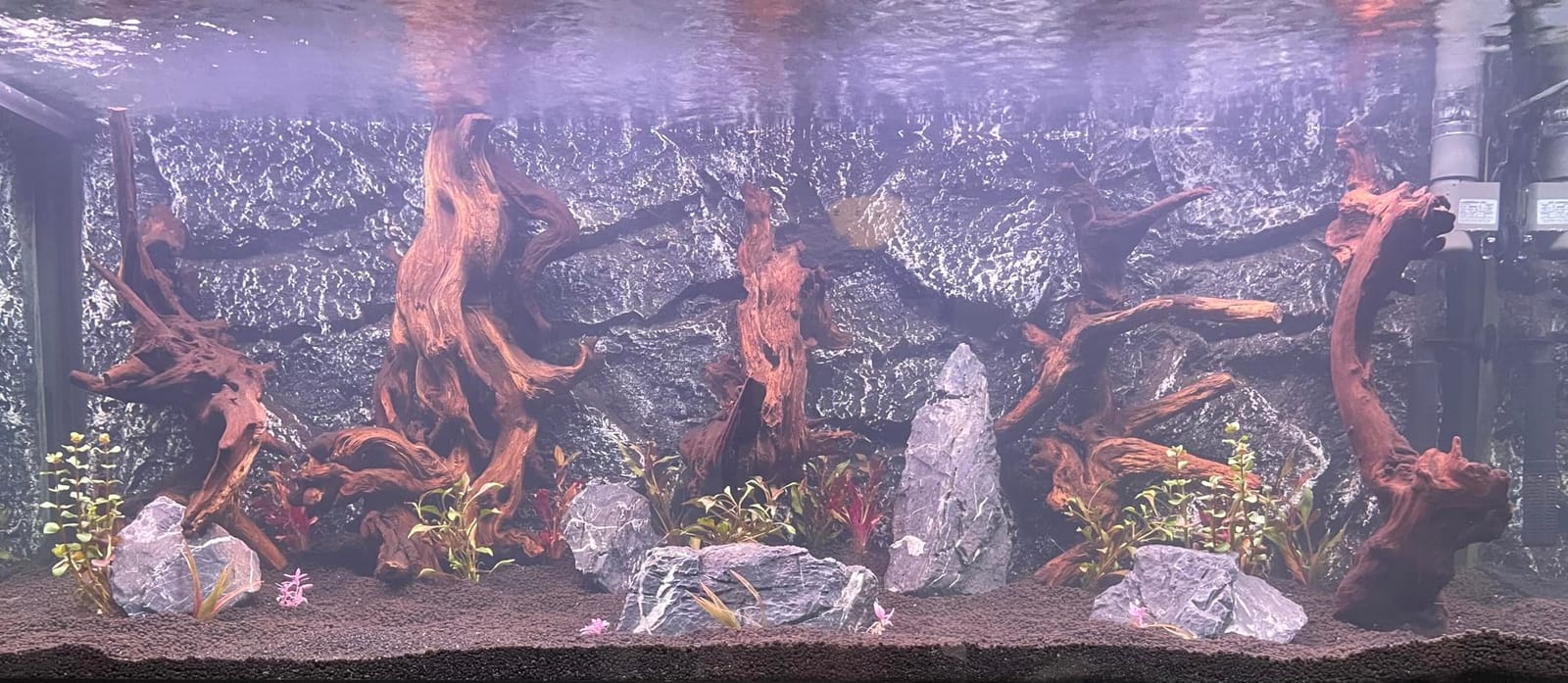 Tfwadmx Rock Terrarium Background 3D Reptile Tank Background Board Amphibian Stereo Backdrop Wall Snake Habitat Decor for Lizard Bearded Dragon Gecko Spider Chameleon Turtle Fish (Small Dragon Stone) customer photo 2
