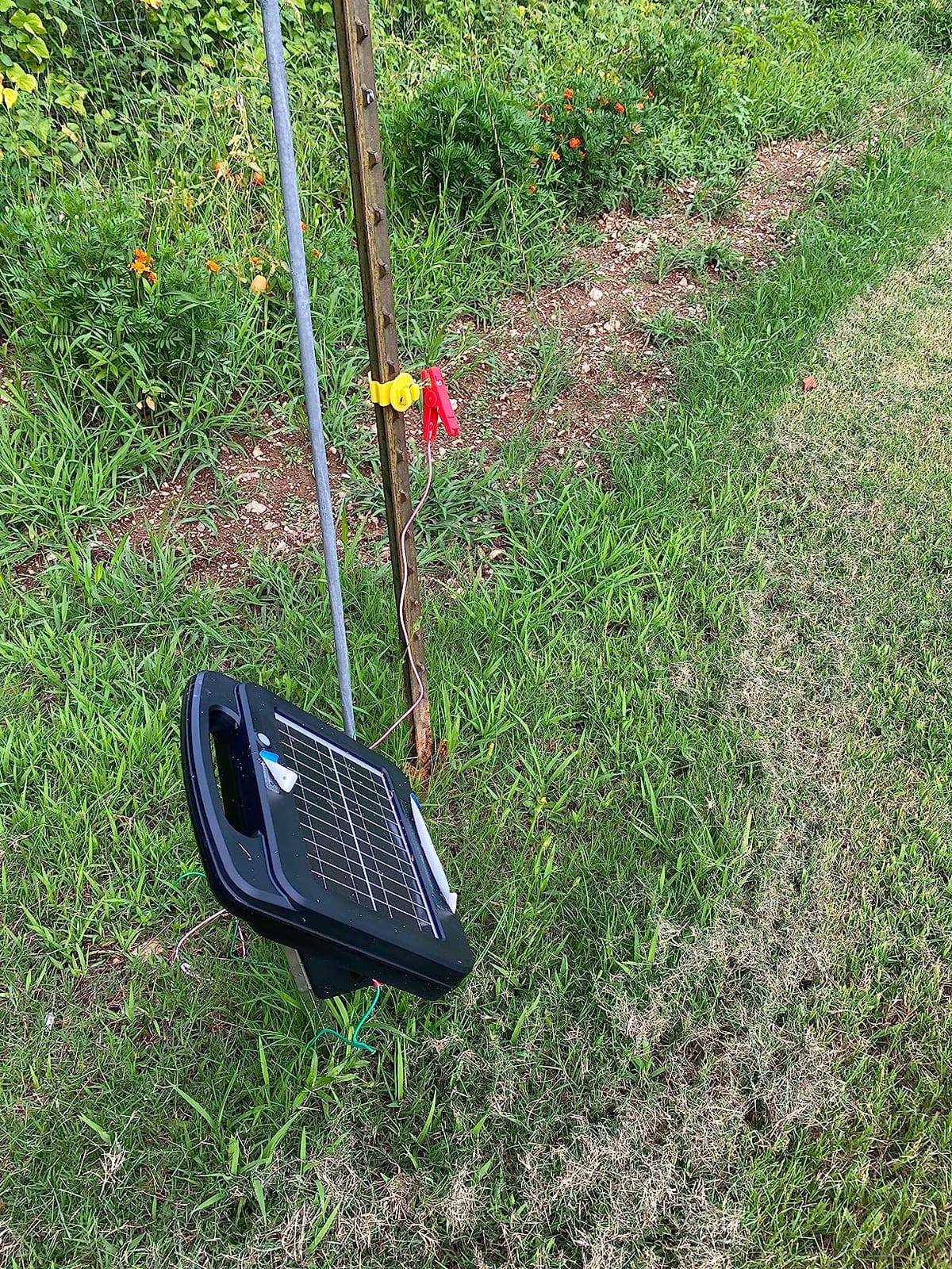 My Animal Command Solar Power Electric Fence Energizer Charger 0.25 Joules | Lithium Ion Battery, Containment, Protection, Livestock, Pet, Horses, Cattle, Sheep, Earthing rod included customer photo 2