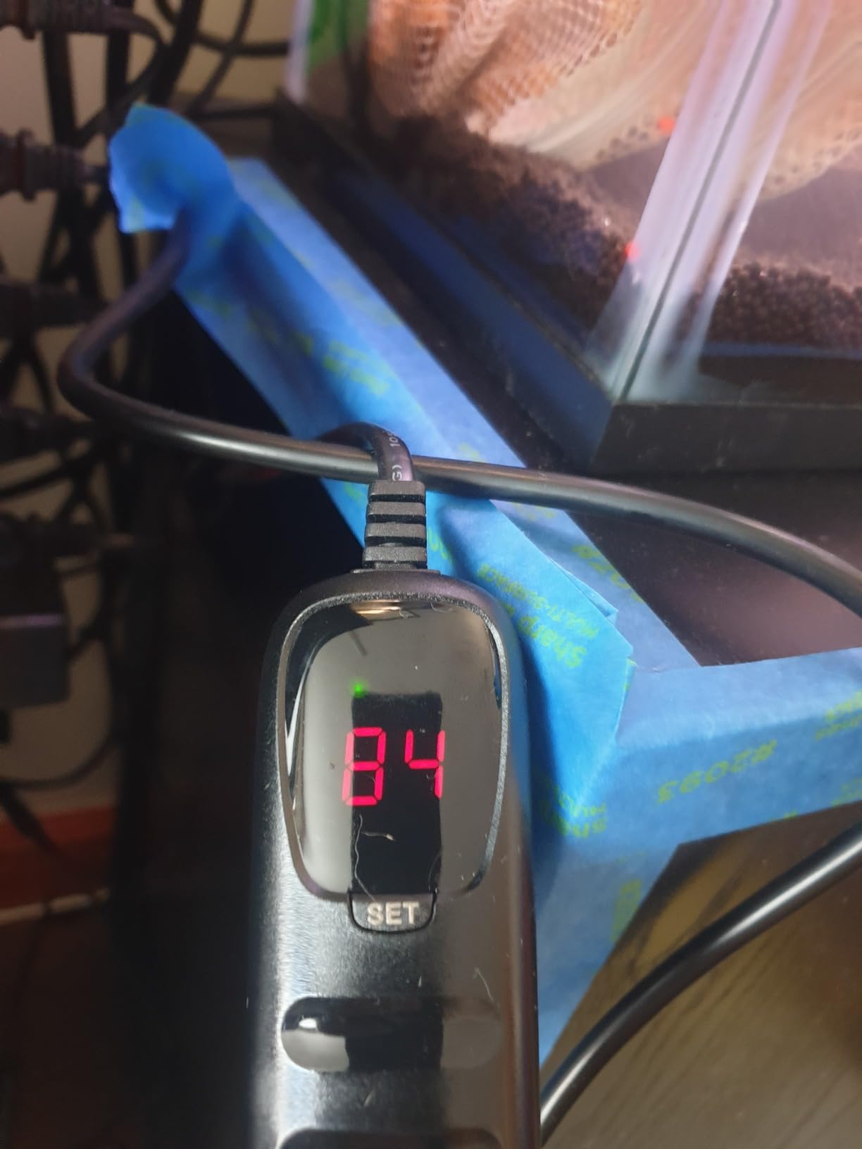 HITOP Compact Submersible Aquarium Heater -25W Digital Heater for Fish Tank Turtle Tank, for Saltwater and Fresh Water with Temperature Controller customer photo 1