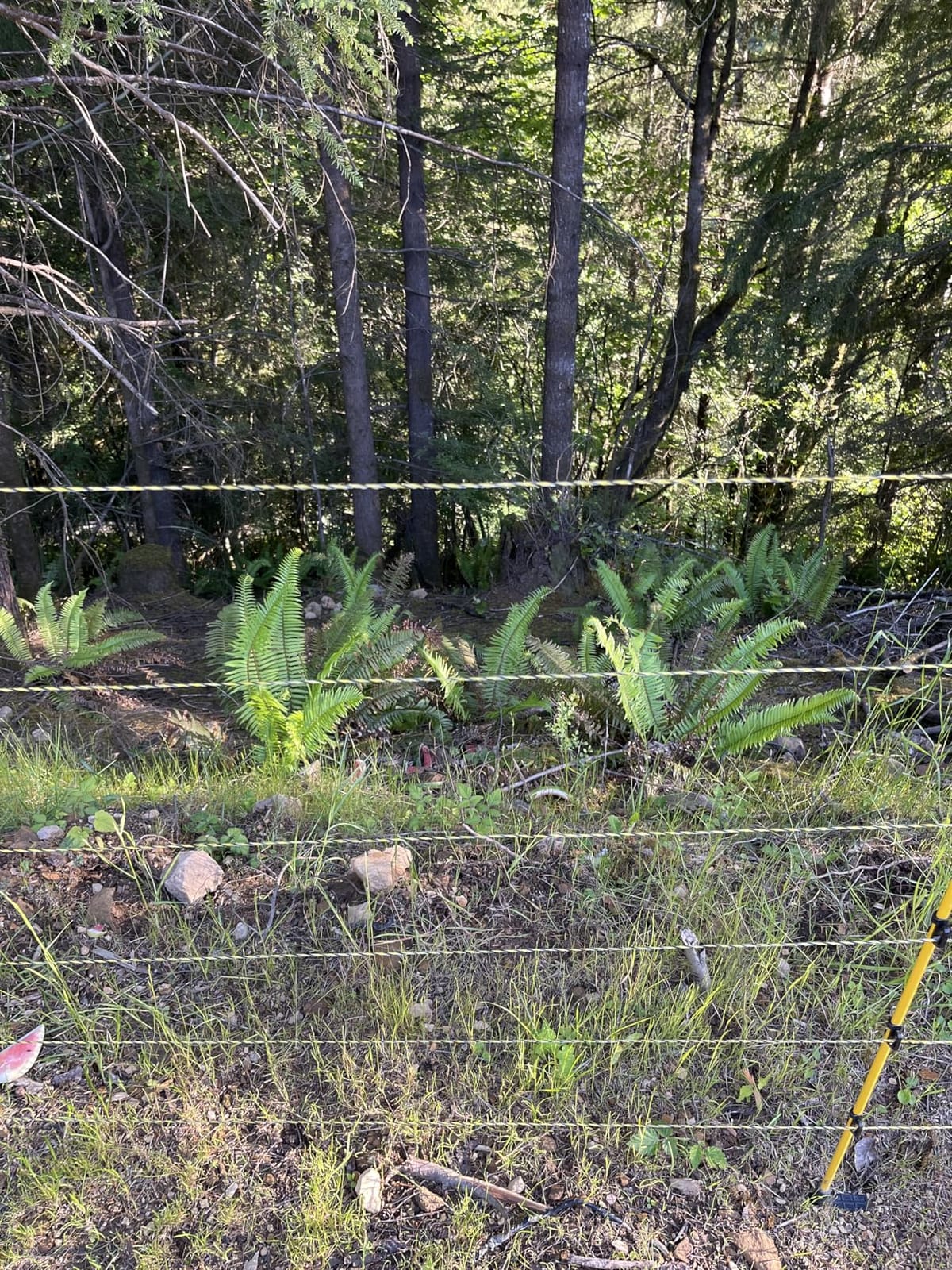 Upgraded Electric Fence Polywire 3366 Feet 1026 Meters, 6 Stainless Steel Strands for Reliable Conductivity and Rust Resistance, Portable Electric Fencing, UV, Rust Resistant customer photo 1