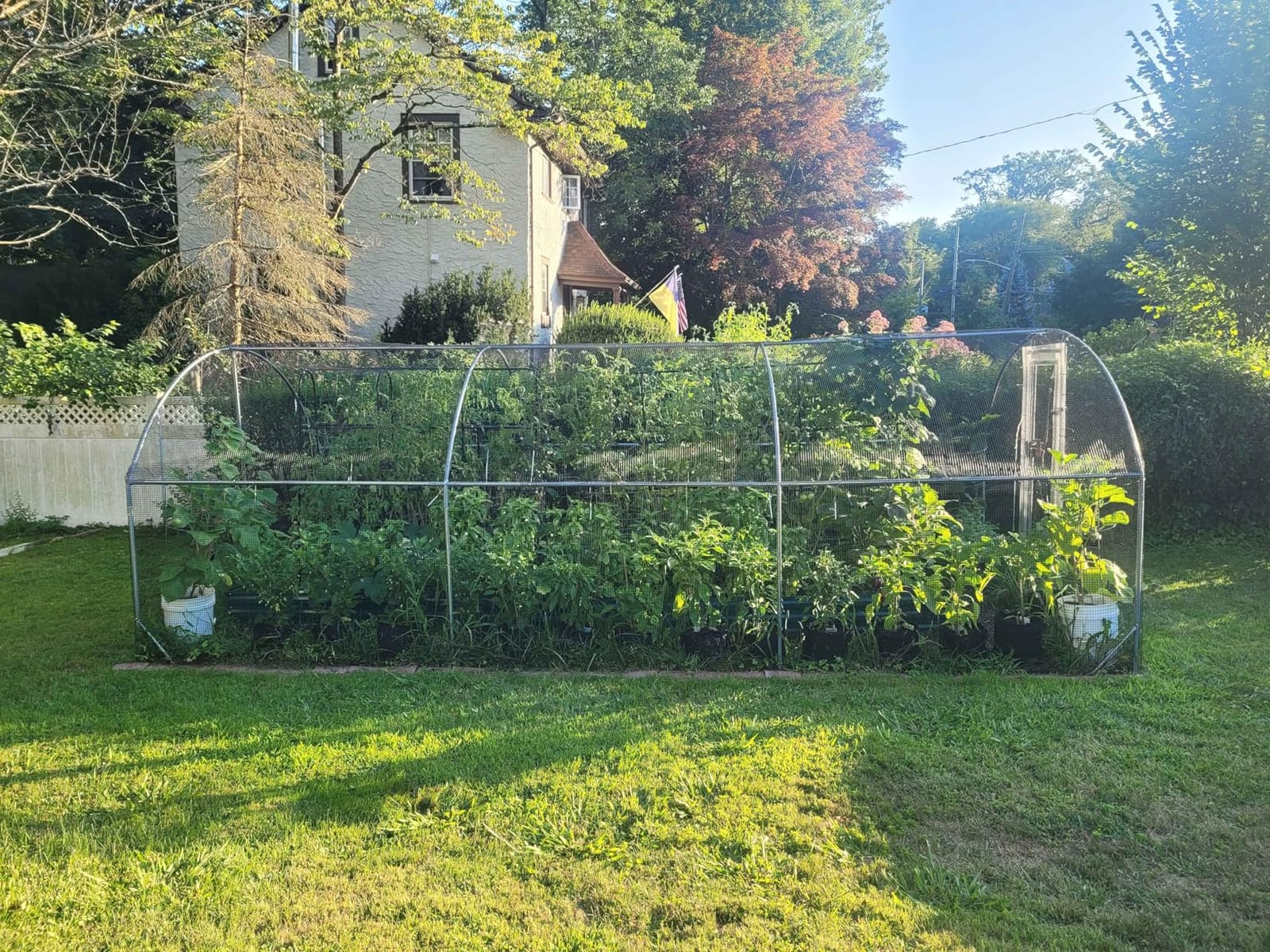 Large Metal Chicken Coop Round Top Upgrade Tri-Supporting Wire Mesh Chicken Run, Chicken Pen with Water-Resident and Anti-UV Cover, Duck Rabbit House Outdoor (19'L x 9'W x 6.5'H) customer photo 2