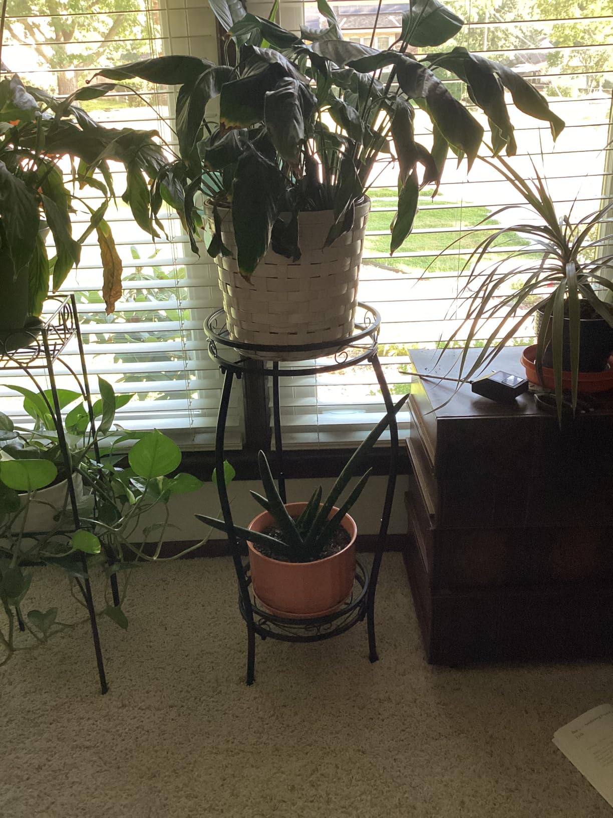 Kavlium Plant Stand Indoor Outdoor, Tall Black Metal, 2 Tier 27.1 Inch | Rustproof Metal, Stable 3-Leg Base, Heavy Duty 100 lb Capacity, Multiple Plant Rack Holder, Indoor Outdoor Decor customer photo 2