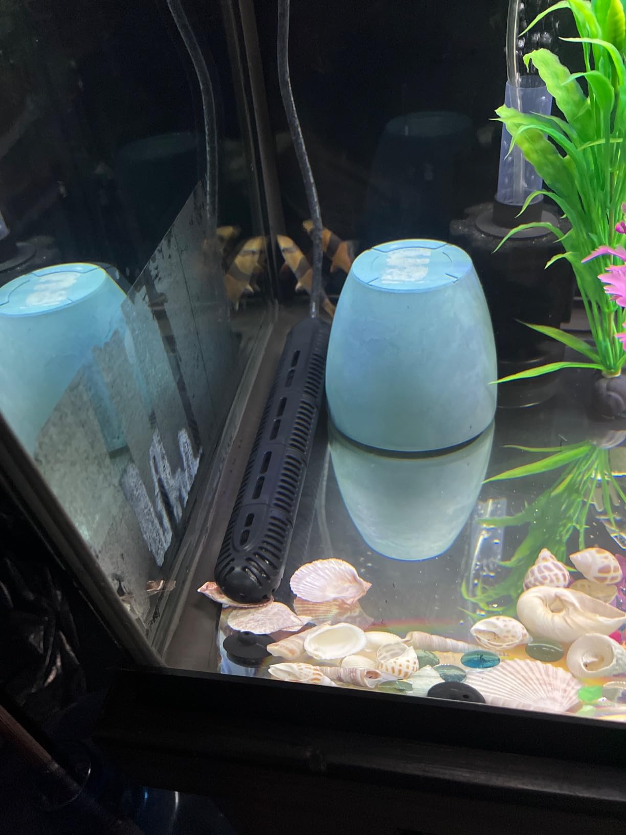 HiTauing Aquarium Heater, 300W Fish Tank Heater with LED Digital Display & 5 Safety Protection, Submersible Aquarium Heater with 2 Suction Cup and 8.2Ft Cord for 40-75 Gallon Fish Tank customer photo 1