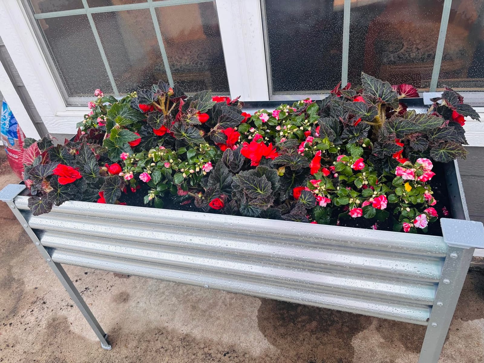 Land Guard Galvanized Raised Garden Bed with Legs, 48x24x32in Large Metal Elevated Raised Planter Box with Drainage Holes for Backyard, Patio, Balcony, 700lb Capacity customer photo 1