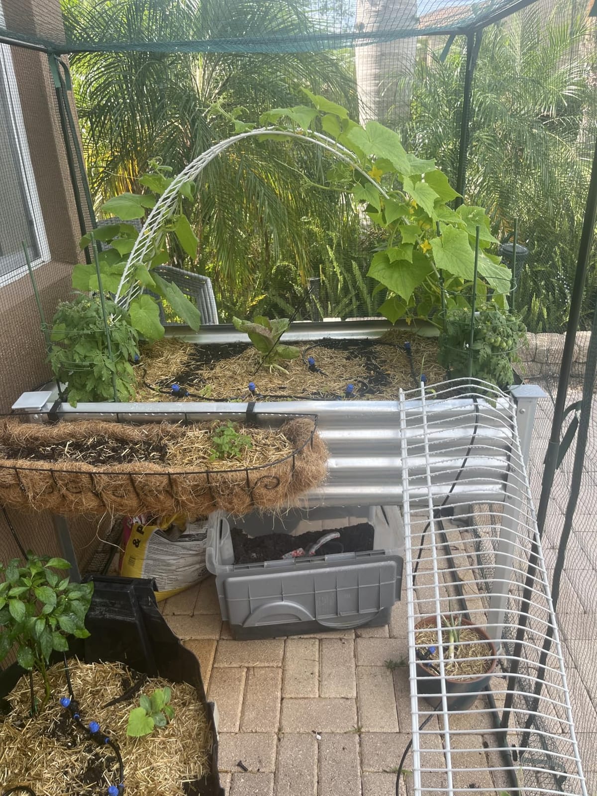 Land Guard Galvanized Raised Garden Bed with Legs, 48x24x32in Large Metal Elevated Raised Planter Box with Drainage Holes for Backyard, Patio, Balcony, 700lb Capacity customer photo 2