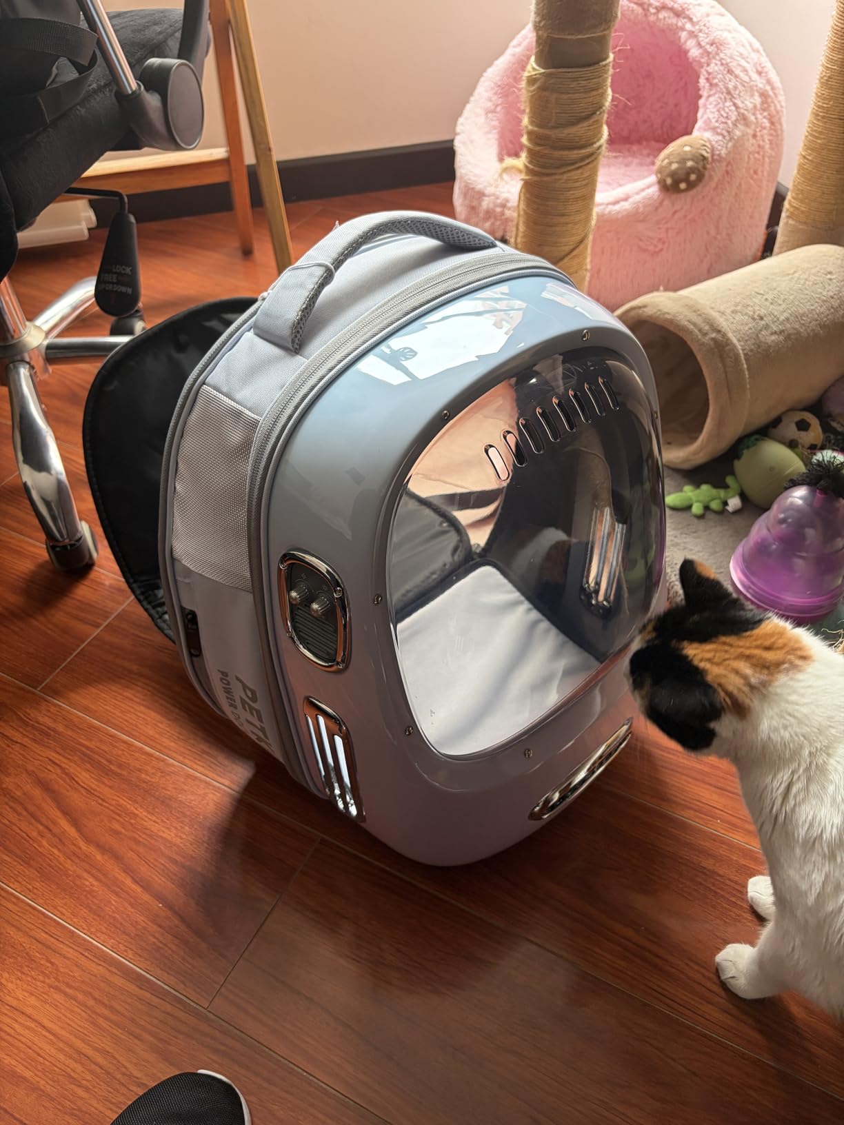 PETKIT Cat Backpack Carrier with Inbuilt Fan & Light, Airline-Approved Pet Backpack Bubble for Kitty Small Dog, Detachable Dog Backpack with Padded Strap for Travel, Hiking, Walking & Outdoor customer photo 1
