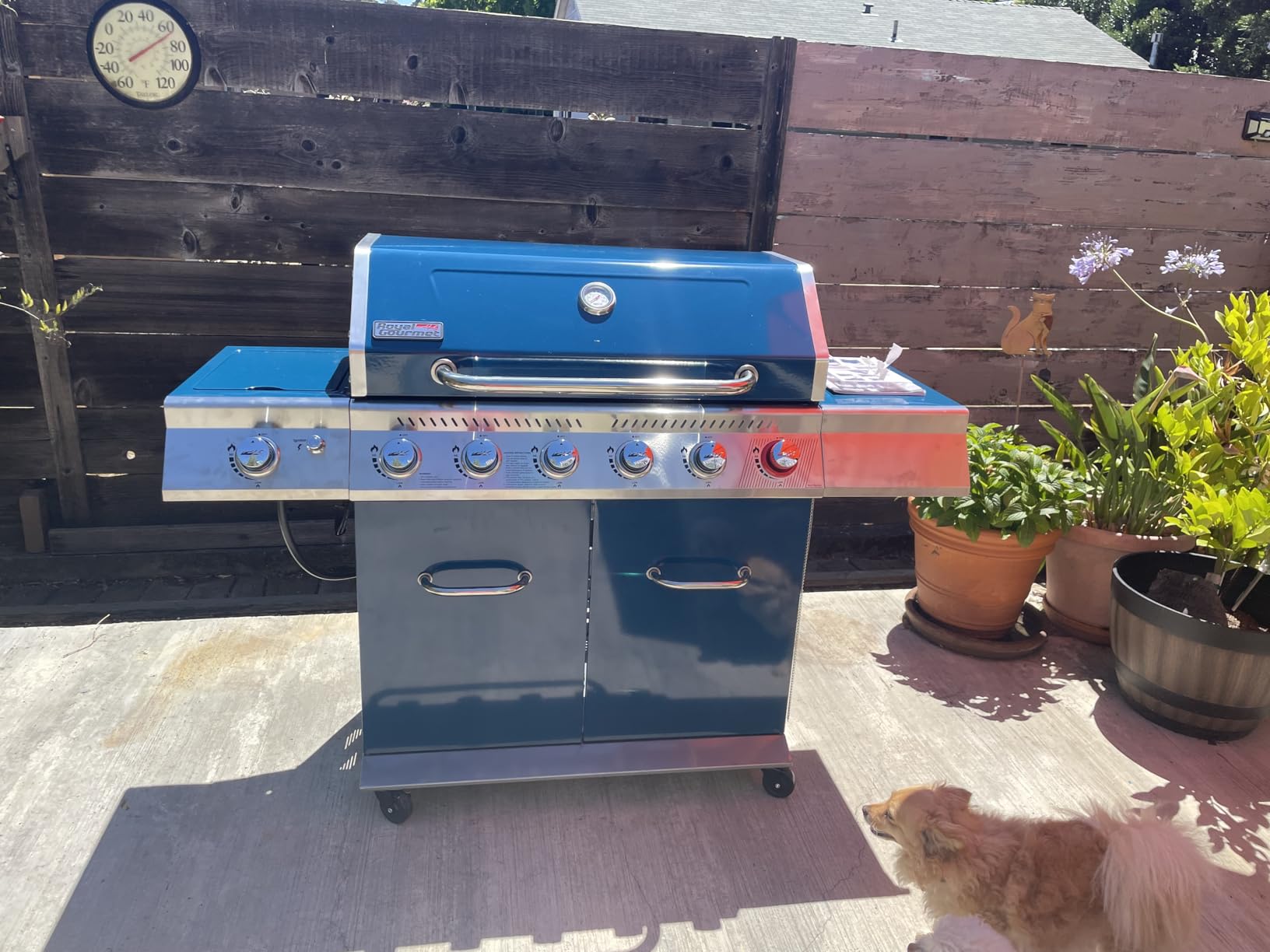 Royal Gourmet GA6402B 6-Burner Propane Gas Grill with Side Burner, Blue | Totaling 74,000 BTU of Cooking Power | Cabinet Style Outdoor BBQ Grill | Perfect for Barbecue Grilling & Backyard Cooking customer photo 1