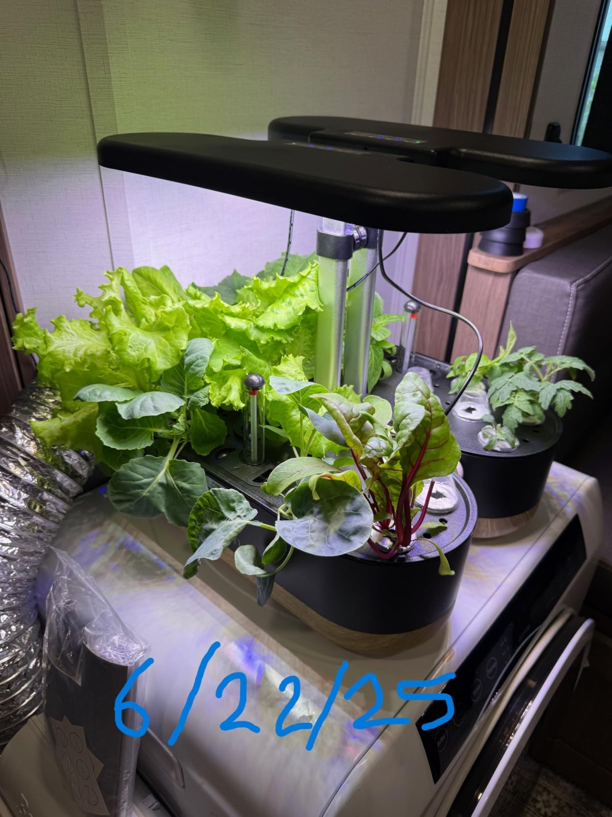 inbloom Hydroponics Growing System 12 Pods, Indoor Herb Garden with LEDs Full-Spectrum Plant Grow Light, Water Shortage Alarm, Automatic Timer, Height Adjustable, Ideal Gardening Gifts for Women customer photo 1