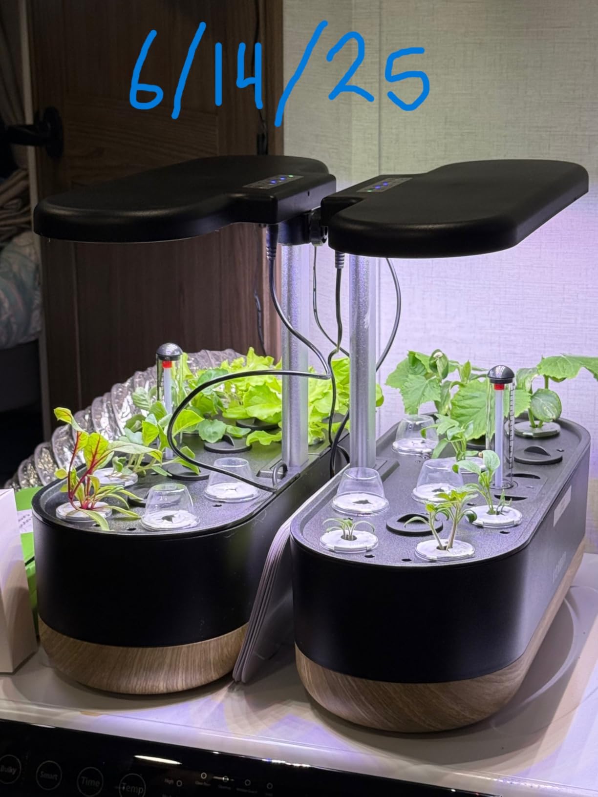 inbloom Hydroponics Growing System 12 Pods, Indoor Herb Garden with LEDs Full-Spectrum Plant Grow Light, Water Shortage Alarm, Automatic Timer, Height Adjustable, Ideal Gardening Gifts for Women customer photo 2