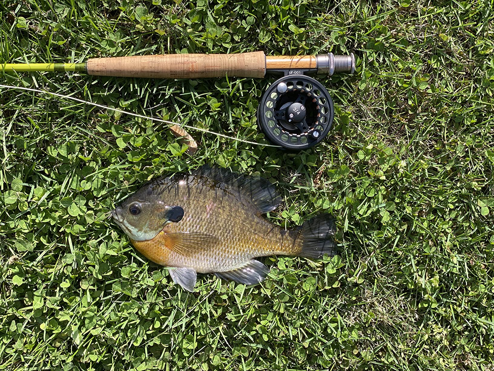 SF SF-001 Large Arbor Fly Fishing Reel with Aluminum Alloy Body 3/4wt 5/6wt 7/8wt Die Cast Pre-Loaded Fly Reel with Line Combo for Trout Bass Carp Pike Panfish customer photo 1