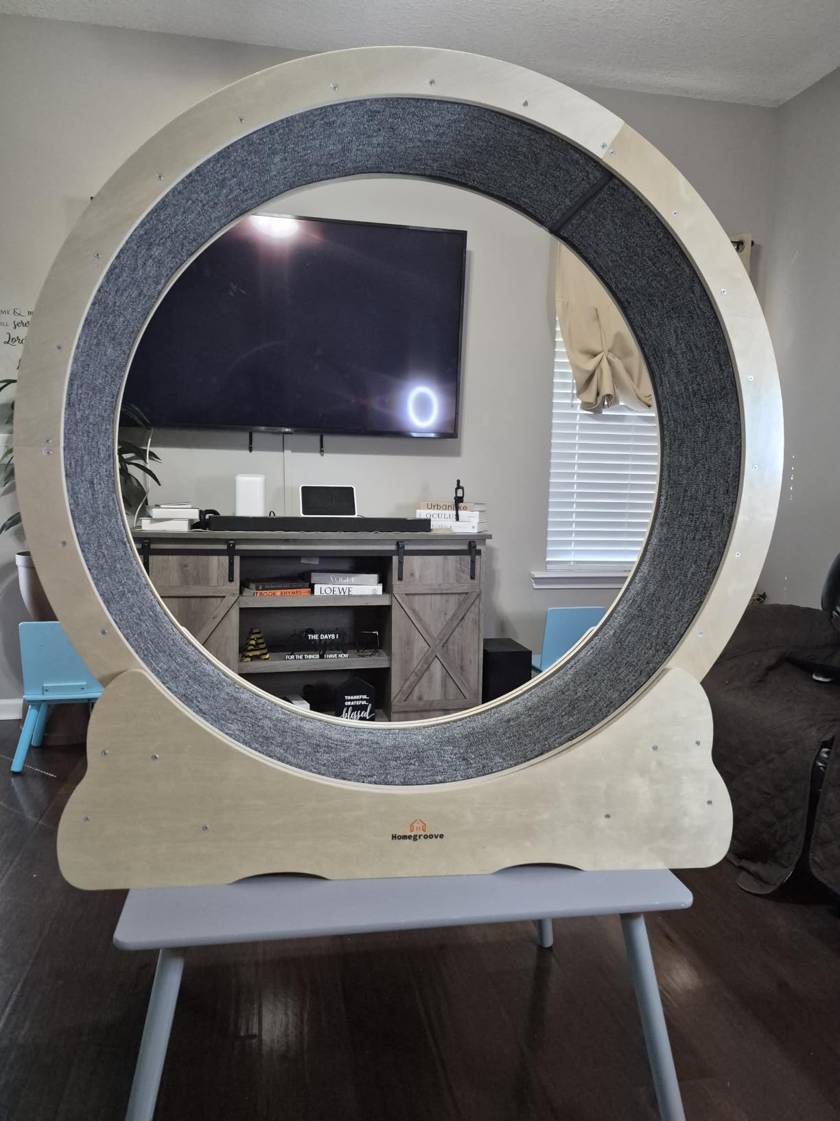 Homegroove Cat Exercise Wheel for Indoor Cats, 46 Inch | Large XL Cat Running Treadmill Wheel with Carpeted Runway for Kitty's Longer Life, Natural Wood Color (XL) customer photo 2