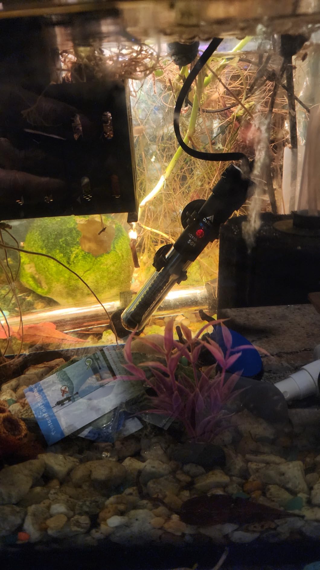 DaToo Aquarium Heater Adjustable 50W Submersible Fish Tank Heater with Electronic Chip Thermostat Suitable for Marine Saltwater and Freshwater customer photo 1