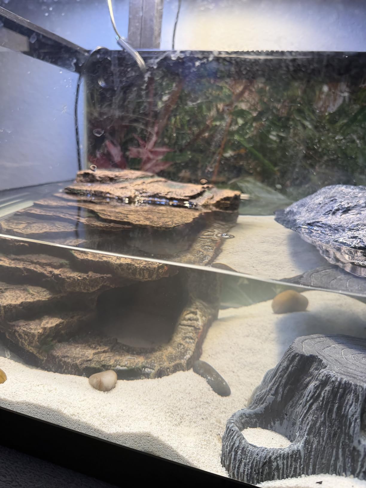 JIHAQUA Terrarium Decor Reptile Hide Reptile Hides and Caves, Medium customer photo 1