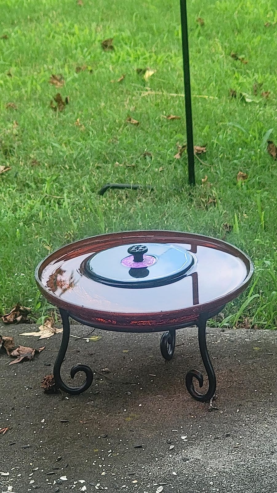SZMP Solar Fountain 3.5W Bird Bath Fountains with Flower Upgraded Glass Panel, Solar Powered Water Fountain with 7 Nozzles & 4 Fixer, Solar Fountain Pump for Bird Bath, Garden, Pond, Outdoor -Black customer photo 1