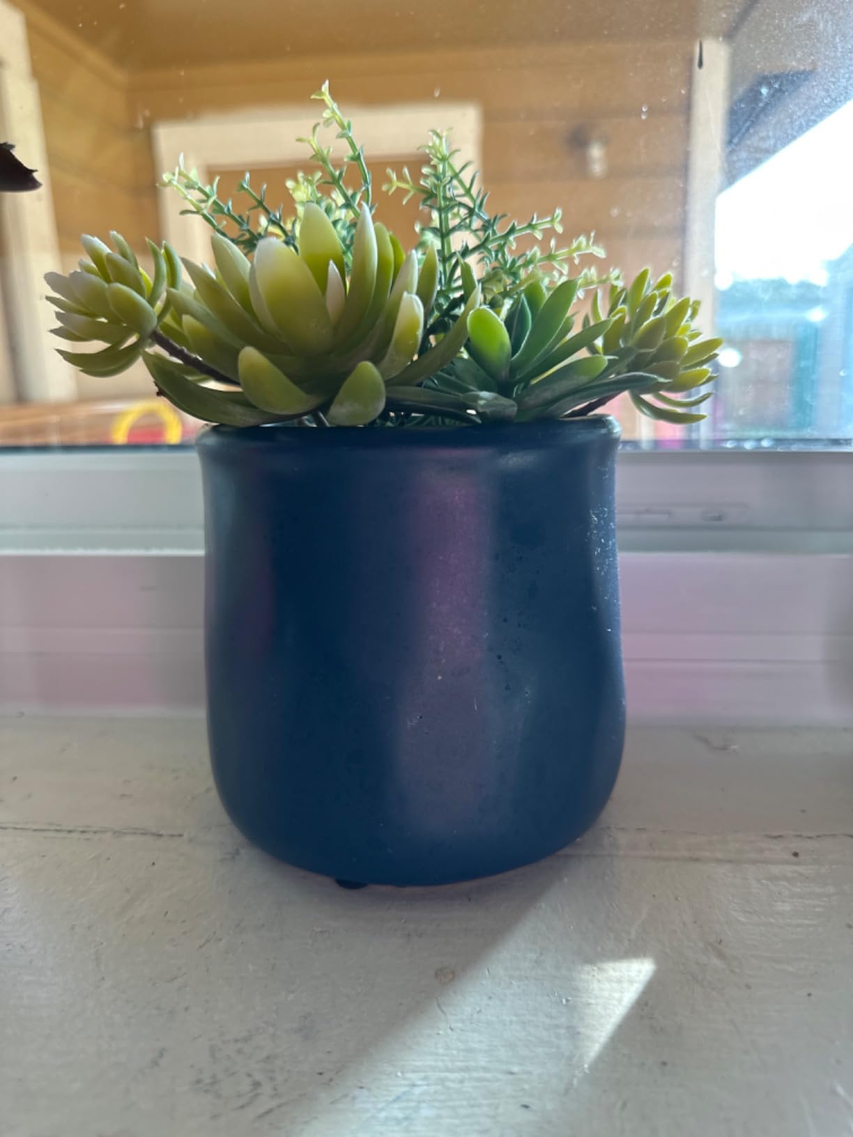 Artificial Succulent Plants in Ceramic Pots Set of 3 | Faux Assorted Succulents Fake Cactus Plants for Home Decor, Bedroom, Office, Desk, Living Room customer photo 1