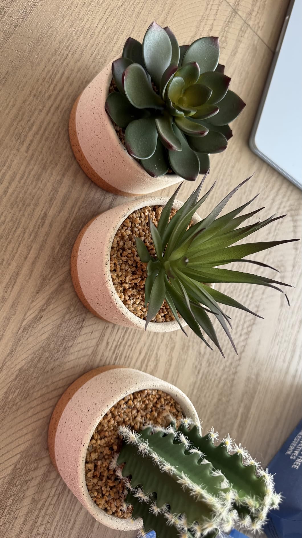 Artificial Succulent Plants in Ceramic Pots Set of 3 | Faux Assorted Succulents Fake Cactus Plants for Home Decor, Bedroom, Office, Desk, Living Room customer photo 2