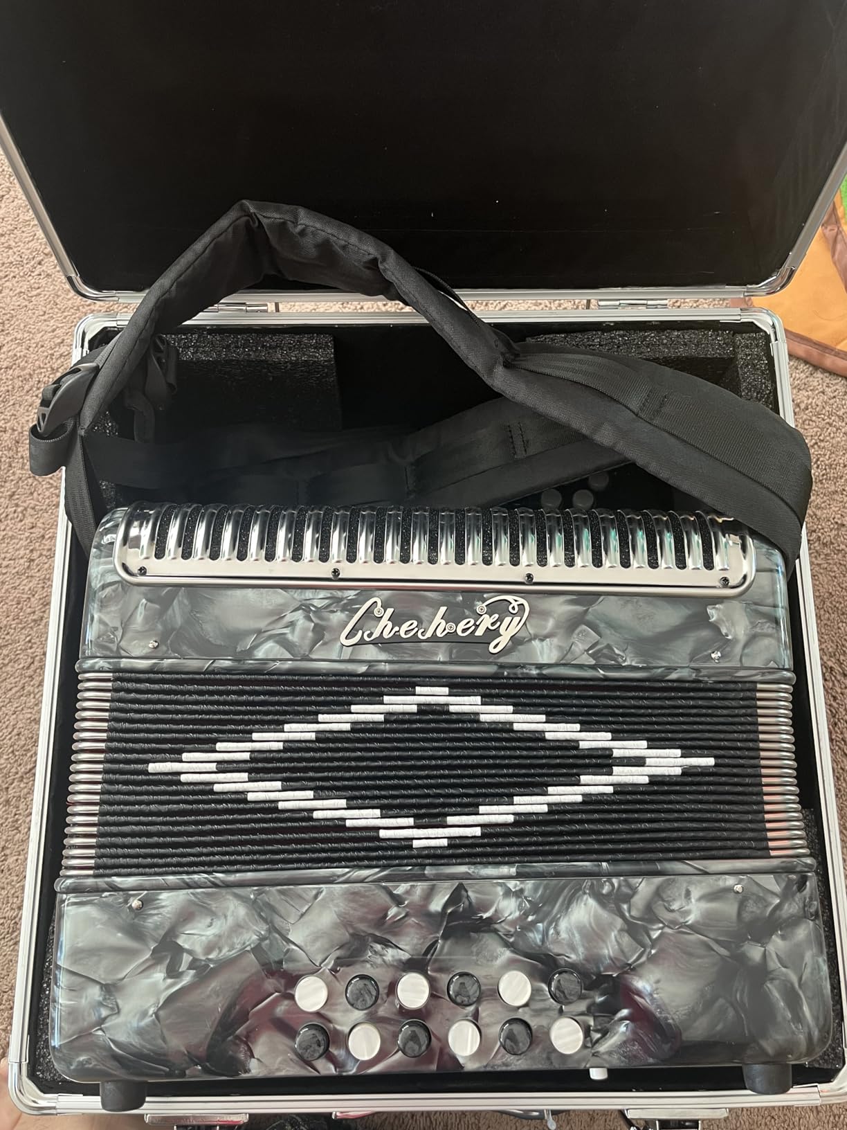 Accordion 31Key 12Bass Diatonic G/C/F w Case Strap Gloves Cloth (Sliver) customer photo 1