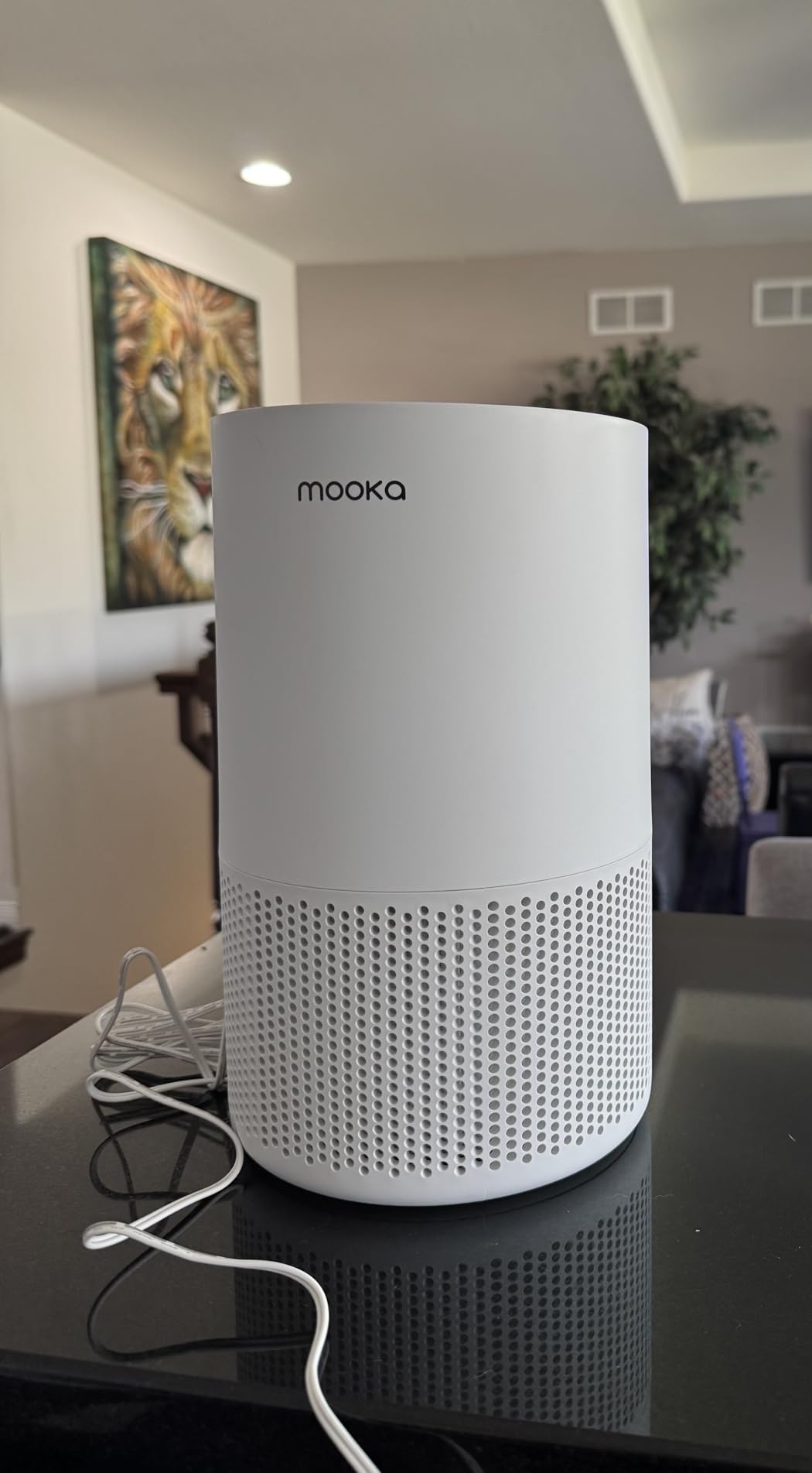 Air Purifiers for Home Large Rooms up to 1200ft², MOOKA H13 True HEPA Air Purifier for Bedroom Pets with Aromatherapy, Child Lock, 13dB Ultra-Quiet Air Cleaner for Smoke, Odor, Dander, Pollen customer photo 2