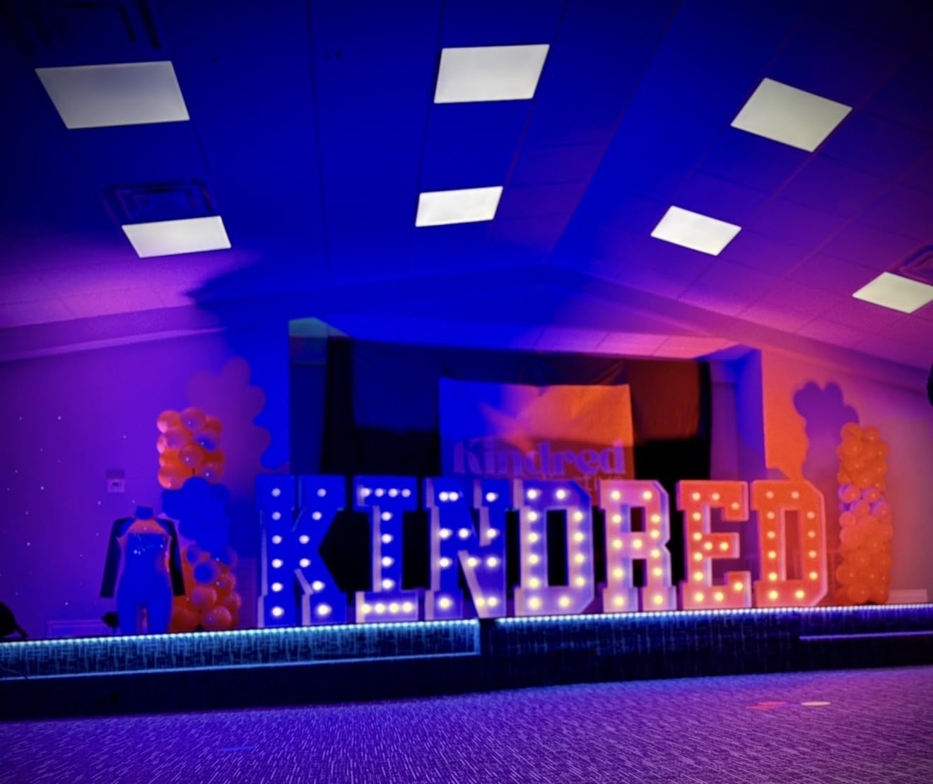 SHEHDS LED Stage Par Lights LED 18X18W DJ Stage Lights 1 Pack | RGBWA+UV 6in1, Wash/Strobe Effect, DMX512 Control, Sound Activated, Aluminum Alloy Shell, Uplighting for Concerts Party customer photo 1