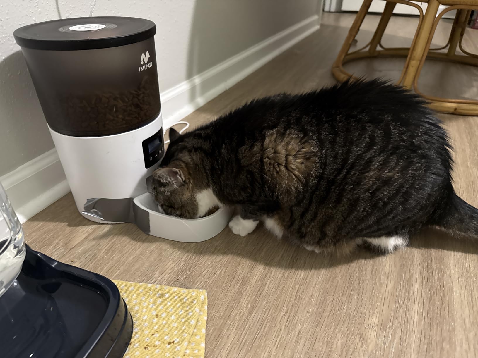 IMIPAW Automatic Cat Feeders, Timed Cat Dry Food Dispenser with Desiccant Bag, Dual Power Supply, Programmable Portion Size, 6 Meals, 20 Portions Per Day, Auto Pet Feeder for Cats and Small Dog, White customer photo 1