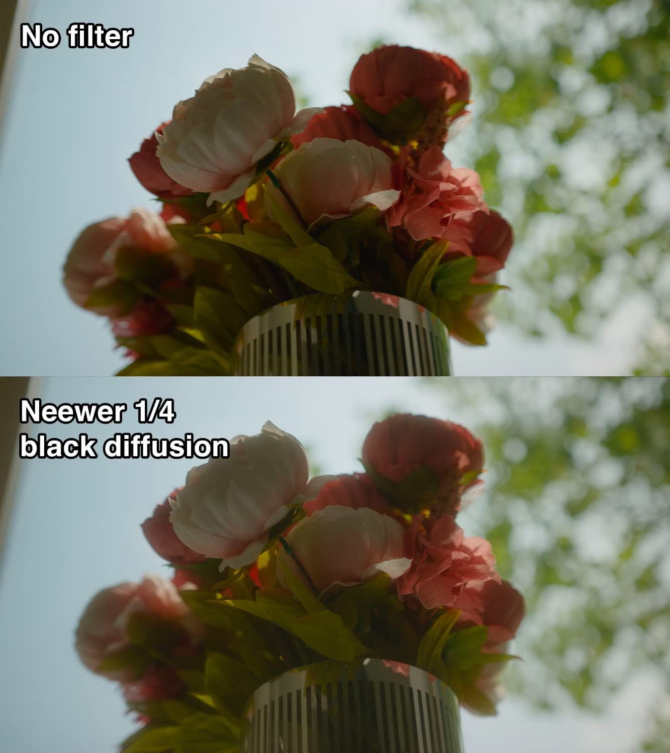 NEEWER Black Diffusion 1/4 Filter for Mist Cinematic Effect, 4