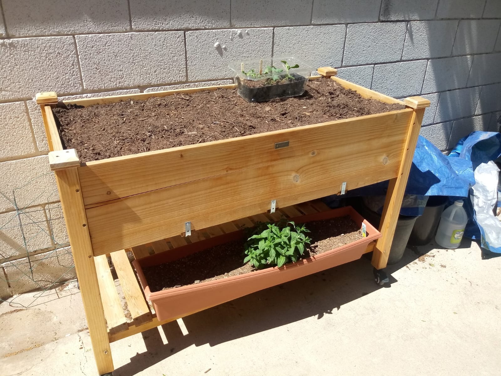 Best Choice Products Raised Garden Bed 48x24x32-inch Mobile Elevated Wood Planter w/Lockable Wheels, Storage Shelf, Protective Liner - Acorn Brown customer photo 1