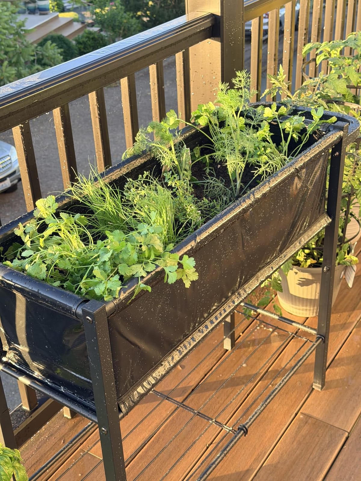 Koutemie Raised Garden Bed with Legs, Planter Box Outdoor with Wheels | 31'' Tall Elevated Garden Bed for Gardening Patio Backyard, DIY Flower Cart for Vegetables Tomato Herb Plant, Black customer photo 1