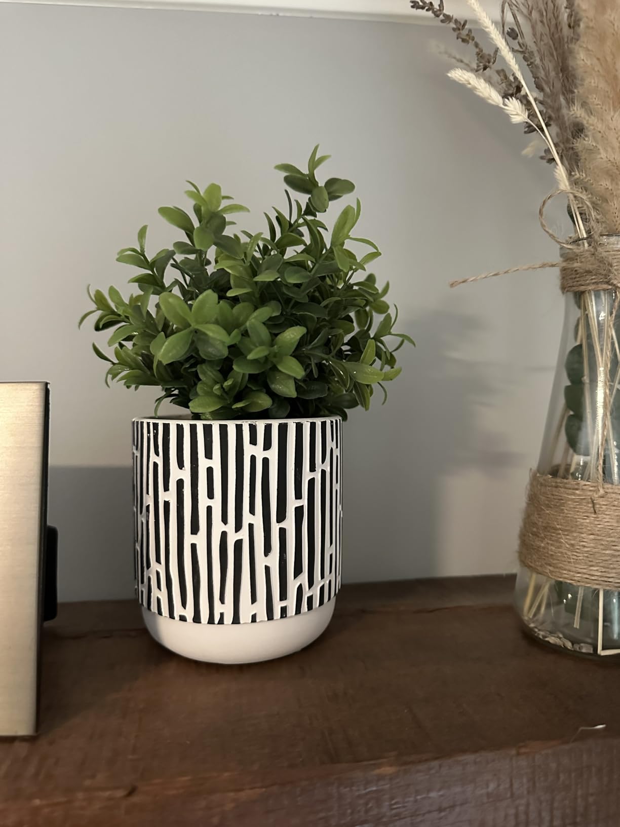 Winlyn 3-Pack Artificial Potted Plants - Faux Eucalyptus, Rosemary, Boxwood Greenery in Small Black & White Geometric Concrete Pots -Desk, Table, Shelf, Windowsill Decor for Indoor Outdoor Home Office customer photo 2