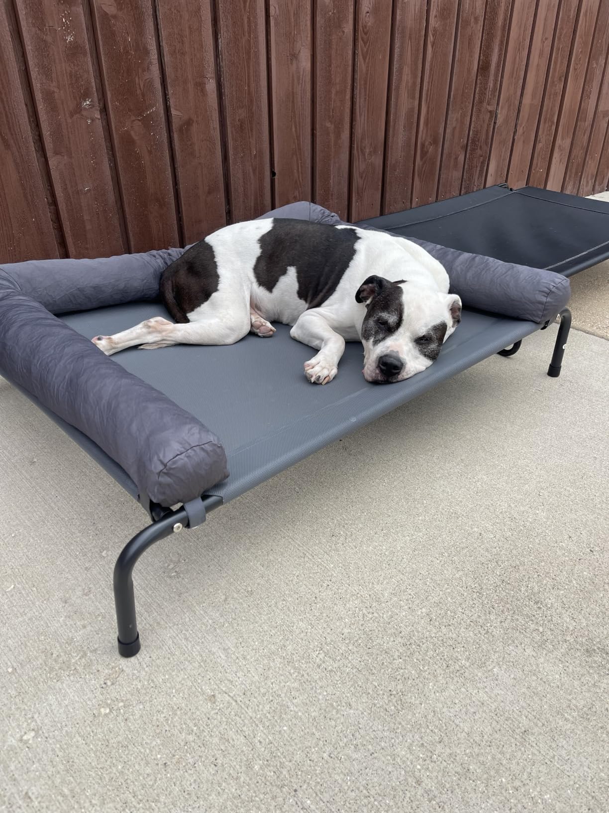 WESTERN HOME Cooling Elevated Dog Bed for Large Dogs, Outdoor Raised Dog Bed | Dogs Cot Portable Indoor, Raised with Breathable Mesh, Chew Proof Pet Hammock Cots, Removable and Waterproof Bolsters customer photo 1