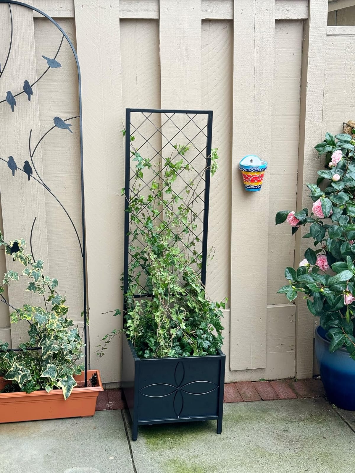 Zhongma Sturdy Raised Garden Bed with Trellis (15.75 x 35.43 x 48.8 in) for Vegetables Flower, Planter Box for Backyard Patio Balcony customer photo 2