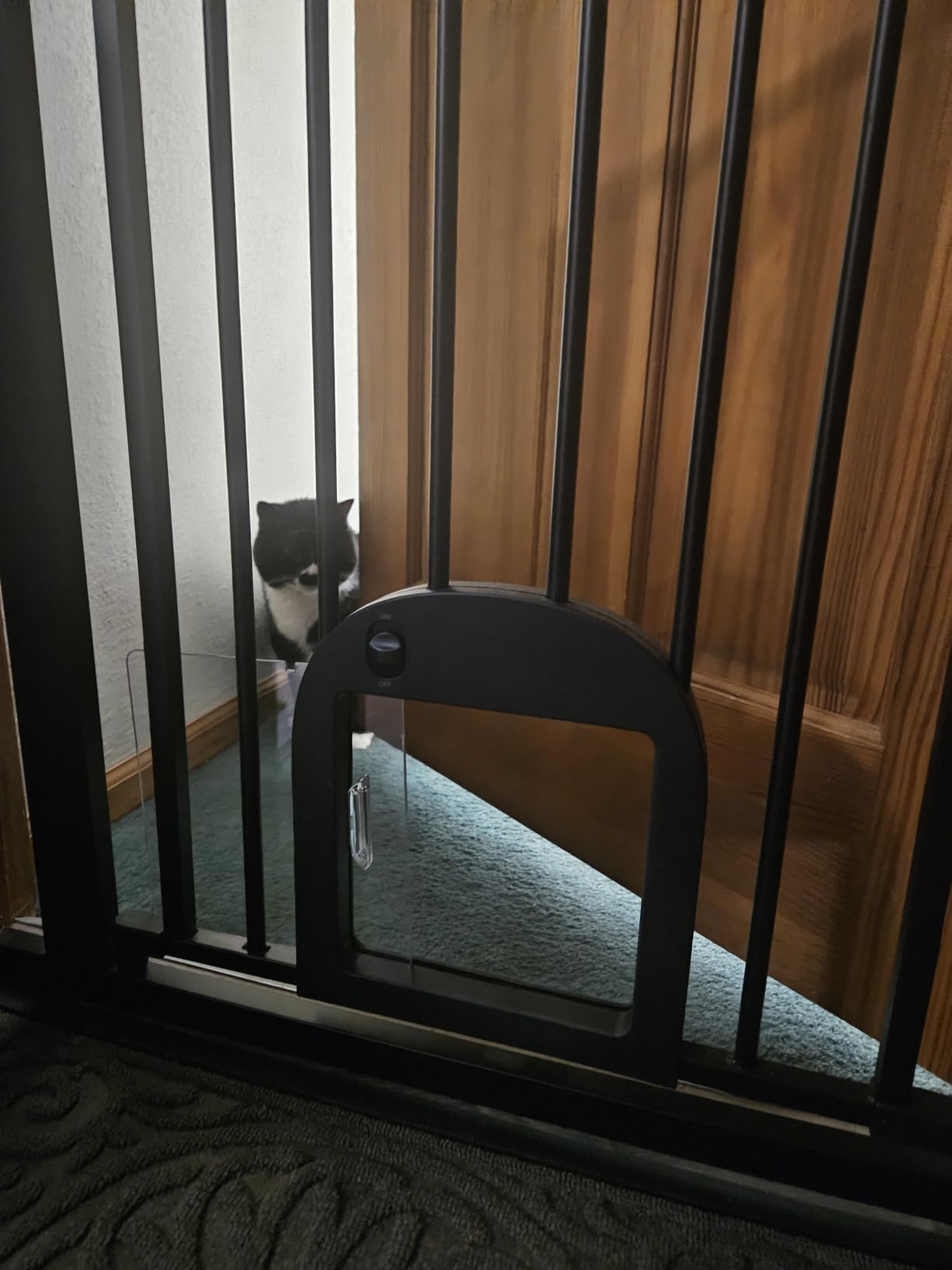 Babelio Baby Gate with Adjustable Cat Door, CatPrivilege III, 29-43